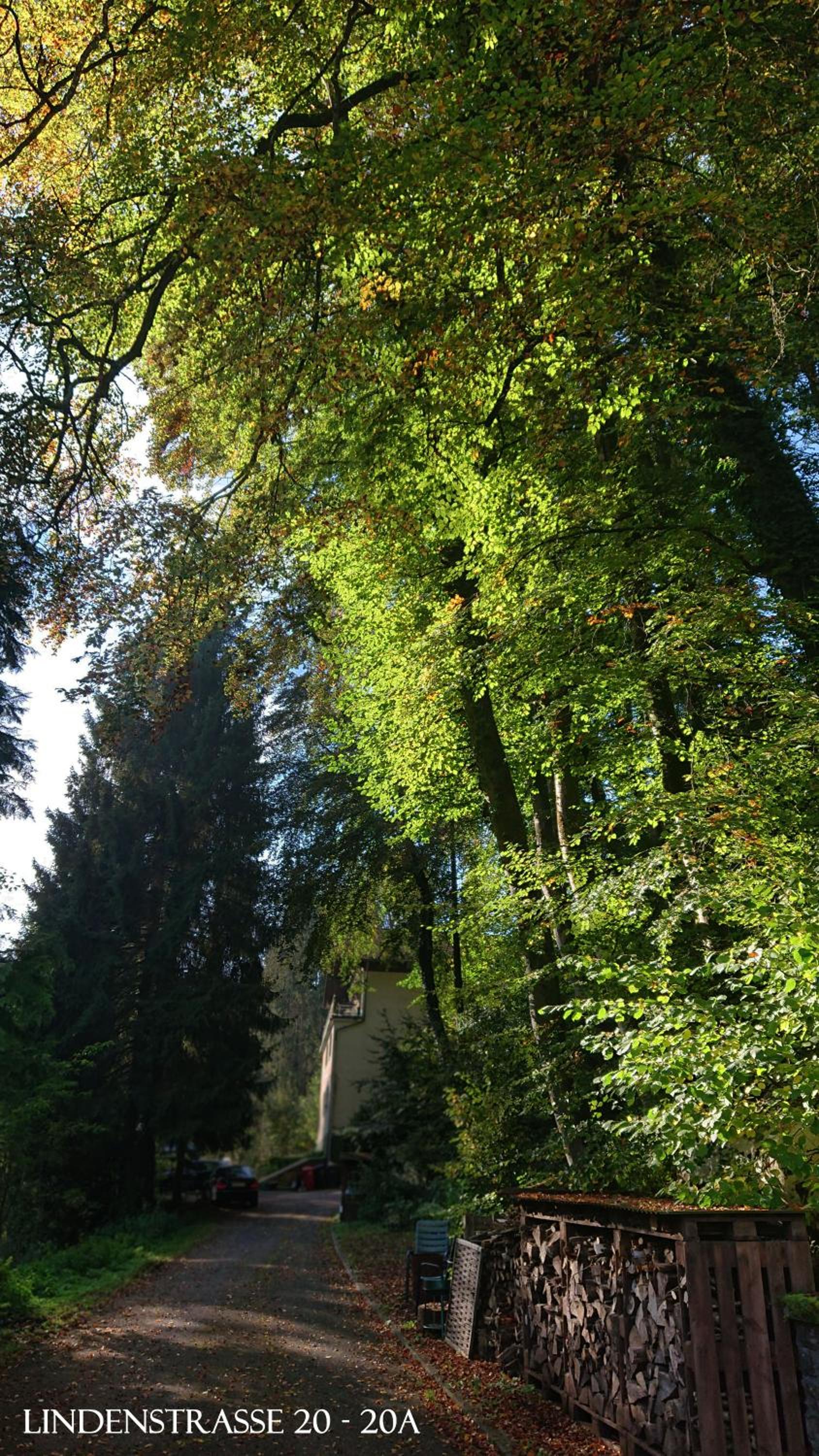 Ferienwohnung Haus Schöneck