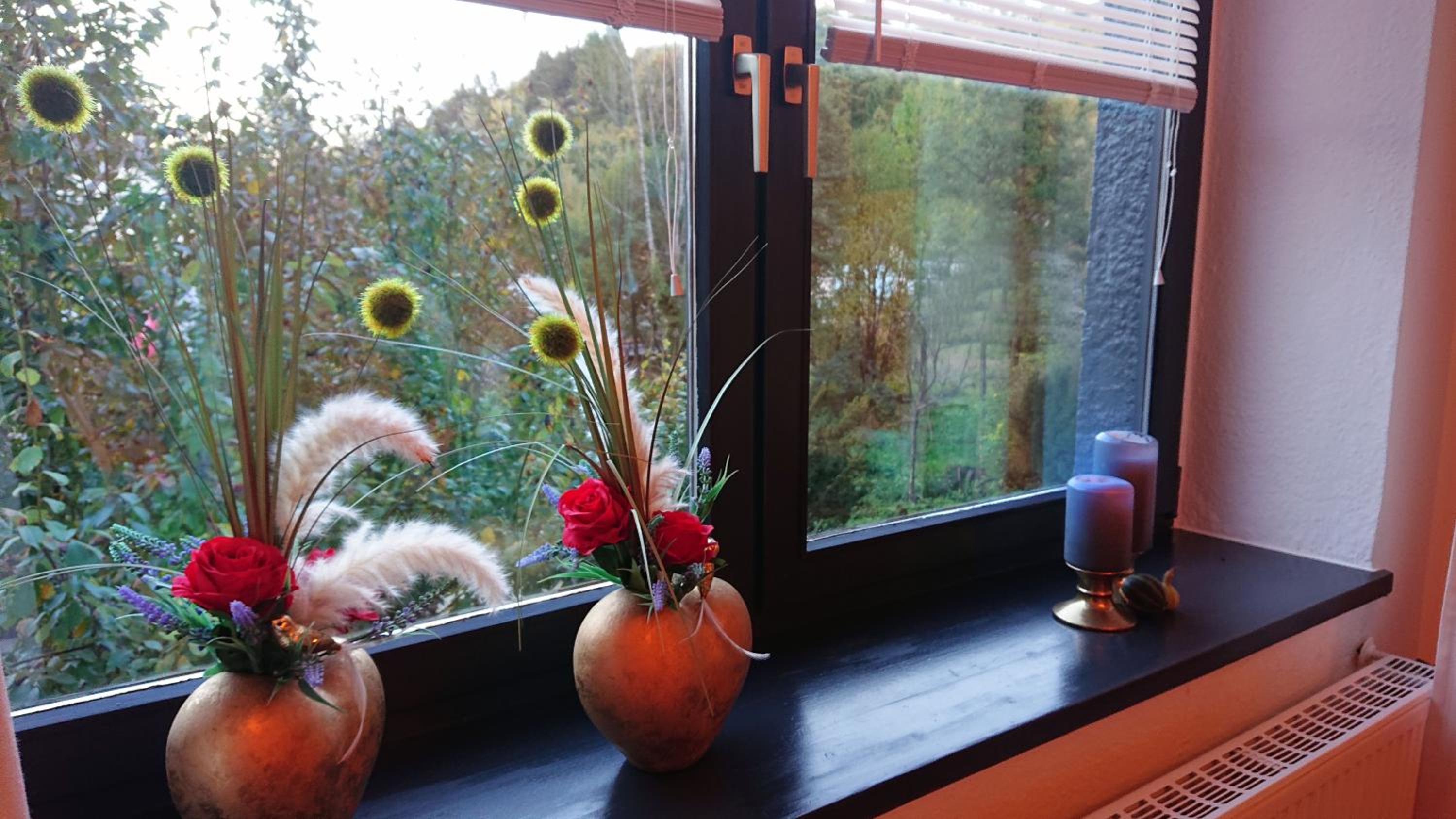Ferienwohnung Haus Schöneck