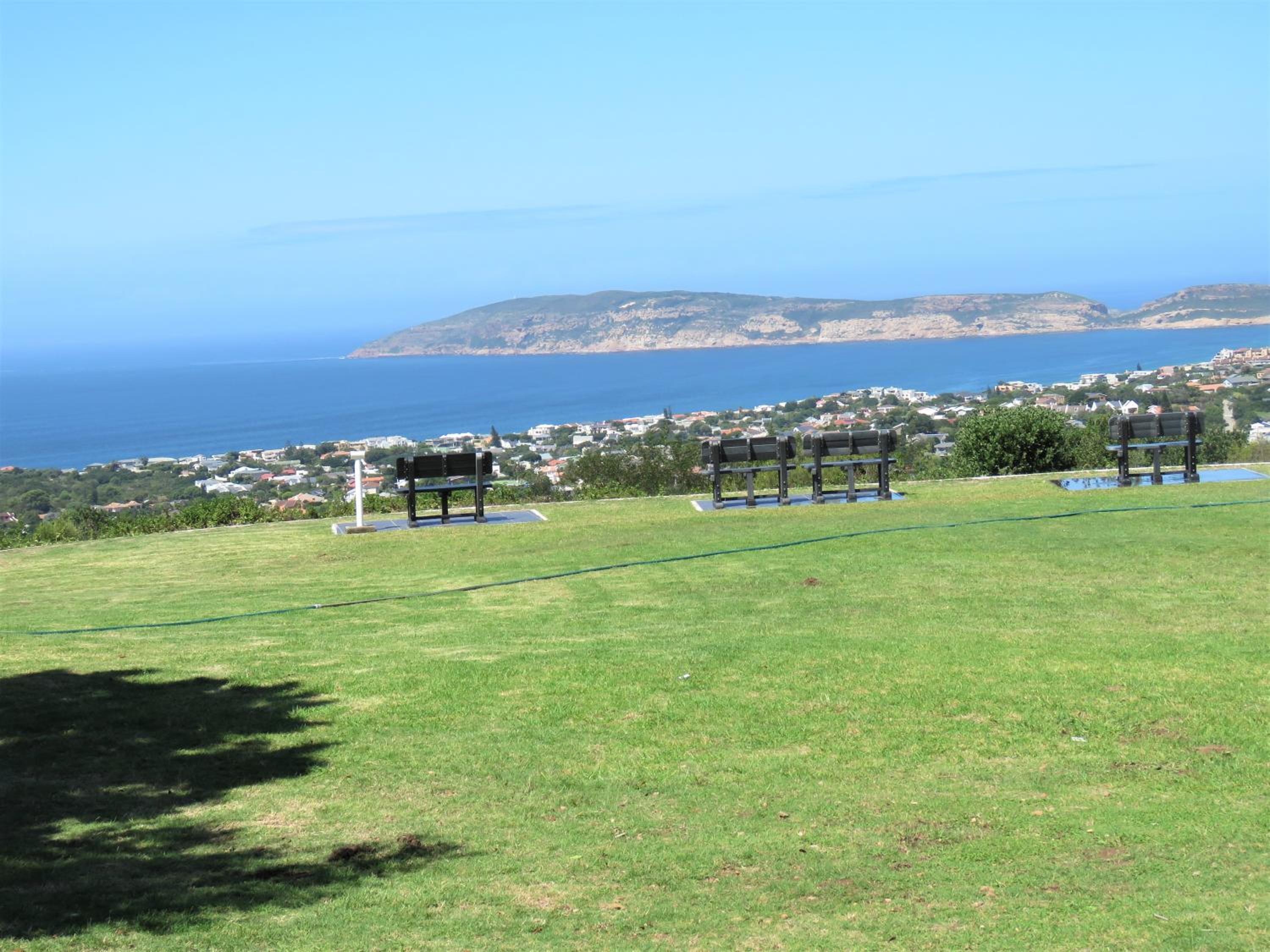 Plett D'light