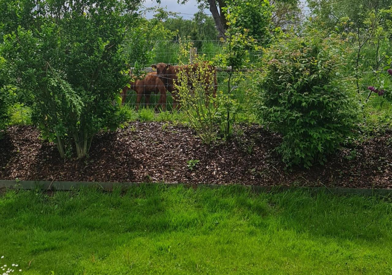 Ferienhausträume Oase Bodensee
