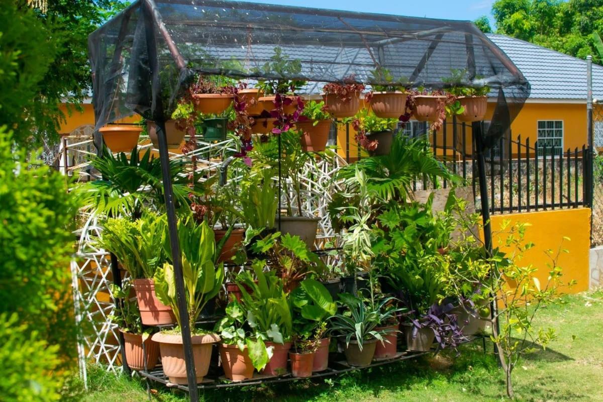 Windbreak Villa