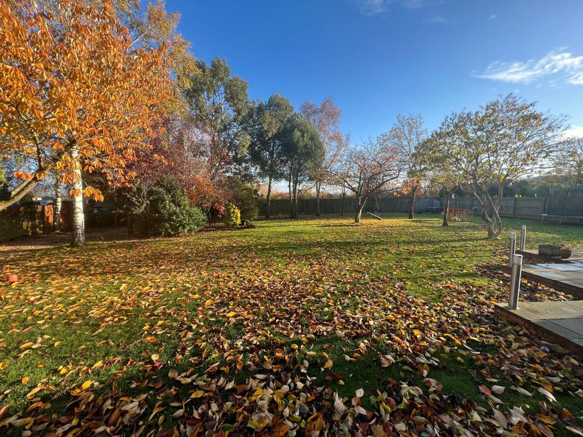 Sure Studio by Best Western Brackenborough Lakes & Resort view 5