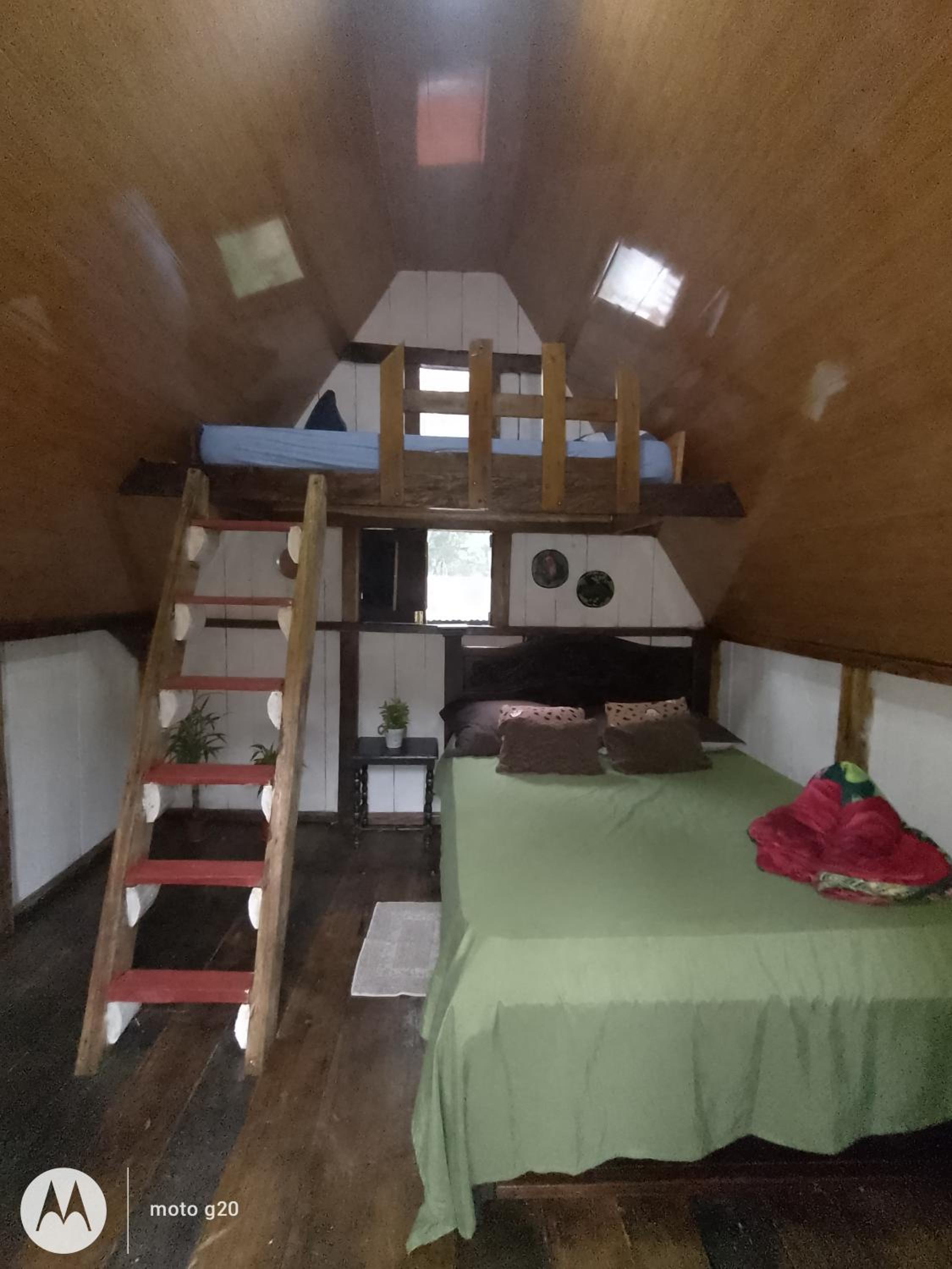 Cabaña bosque río celeste