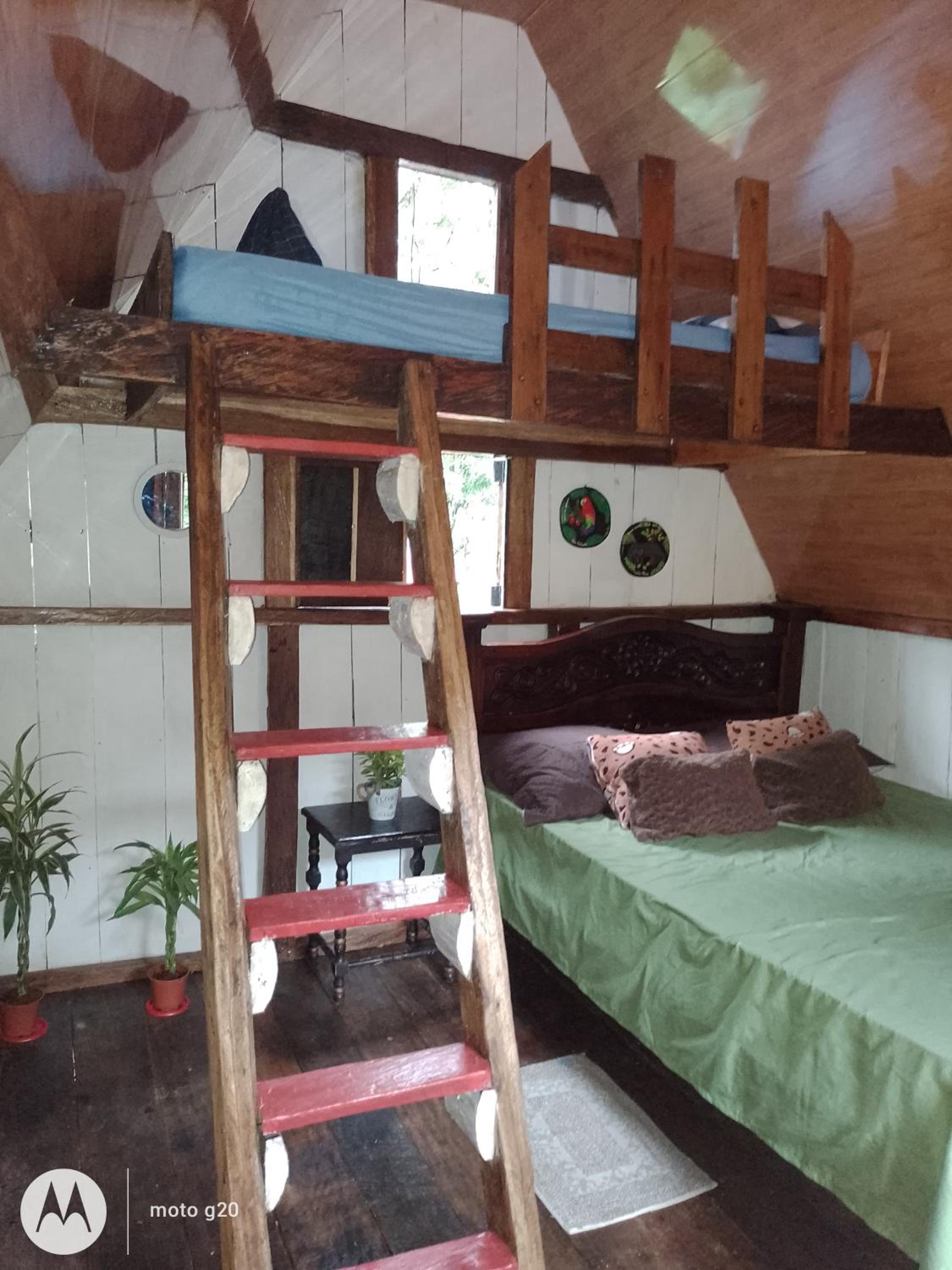 Cabaña bosque río celeste