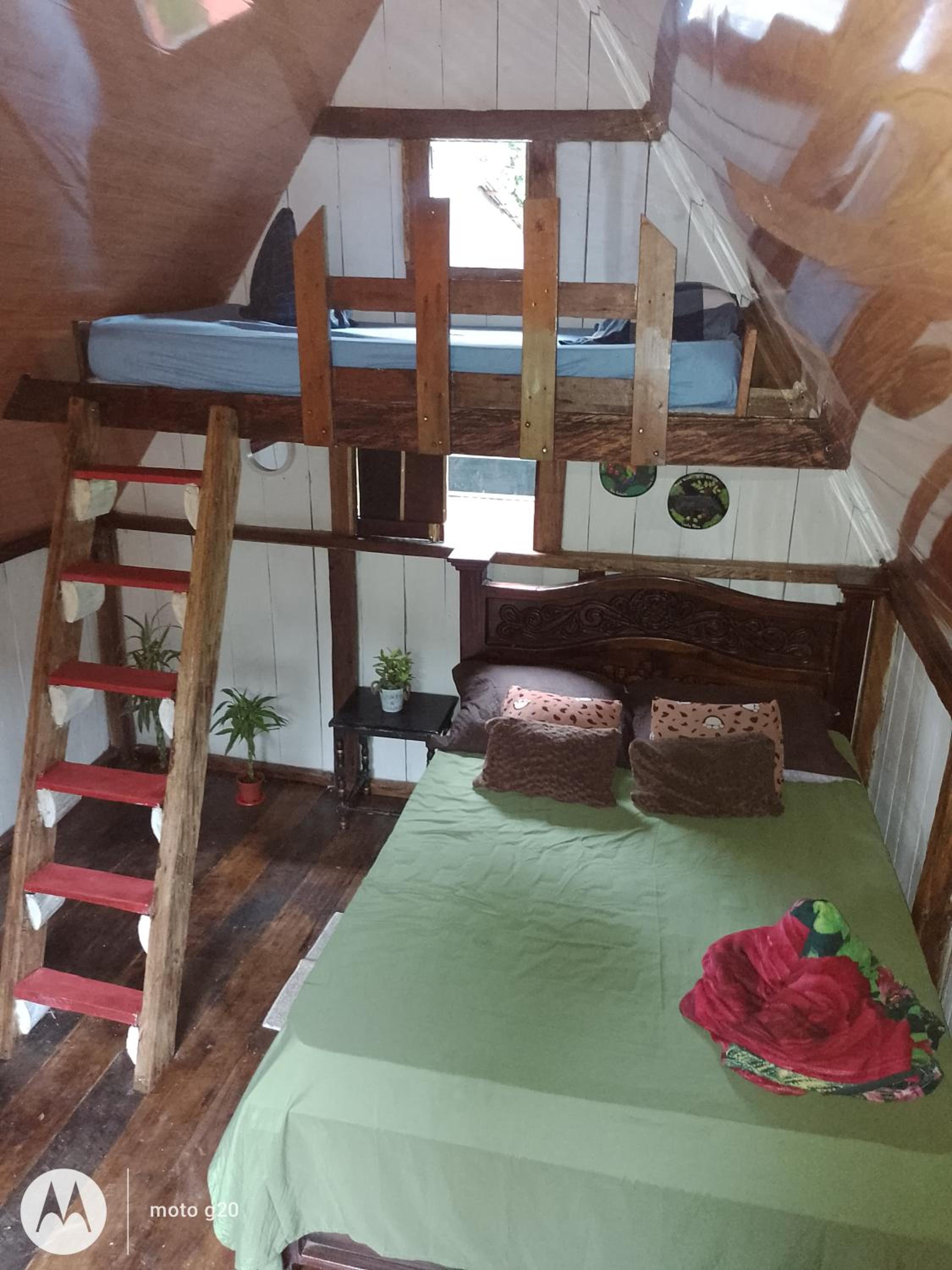 Cabaña bosque río celeste