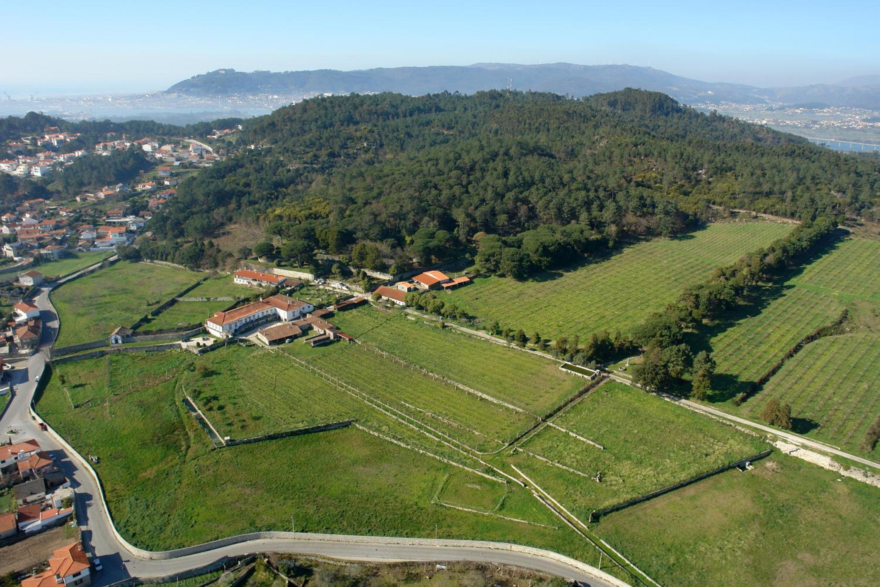 Paco d'Anha, photo 16