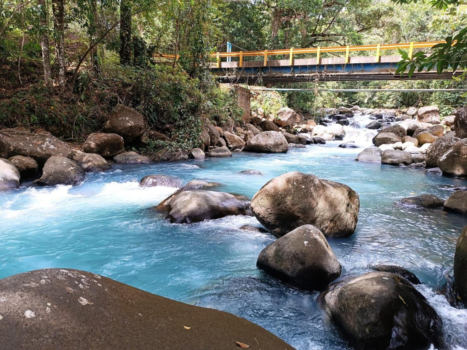 Cabaña bosque río celeste