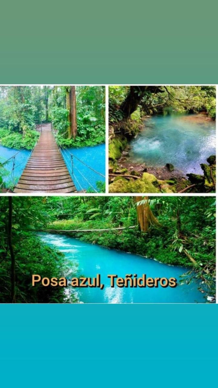 Cabaña bosque río celeste