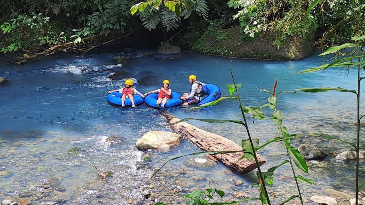 Cabaña bosque río celeste