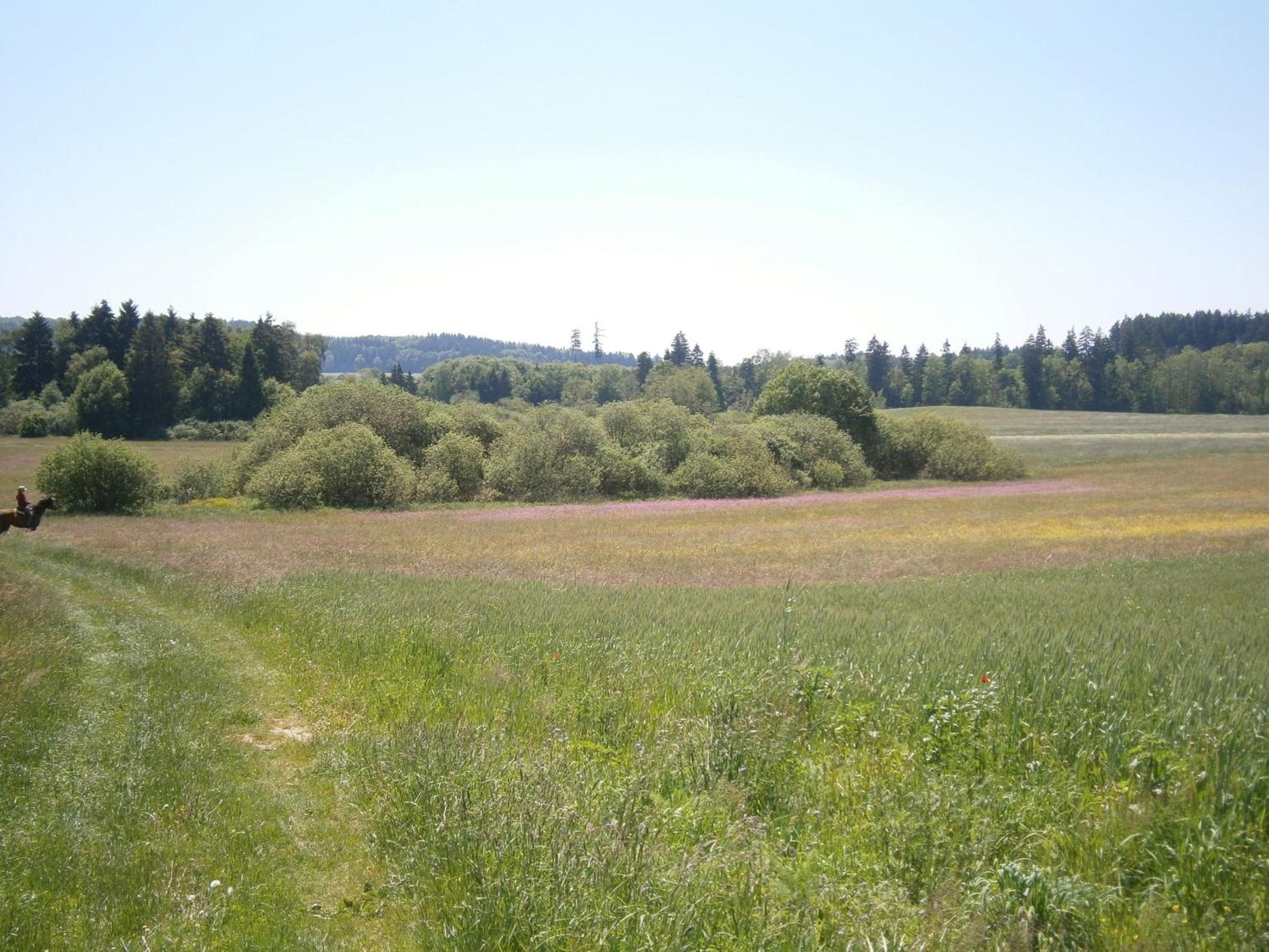 Landhüsli Illmensee