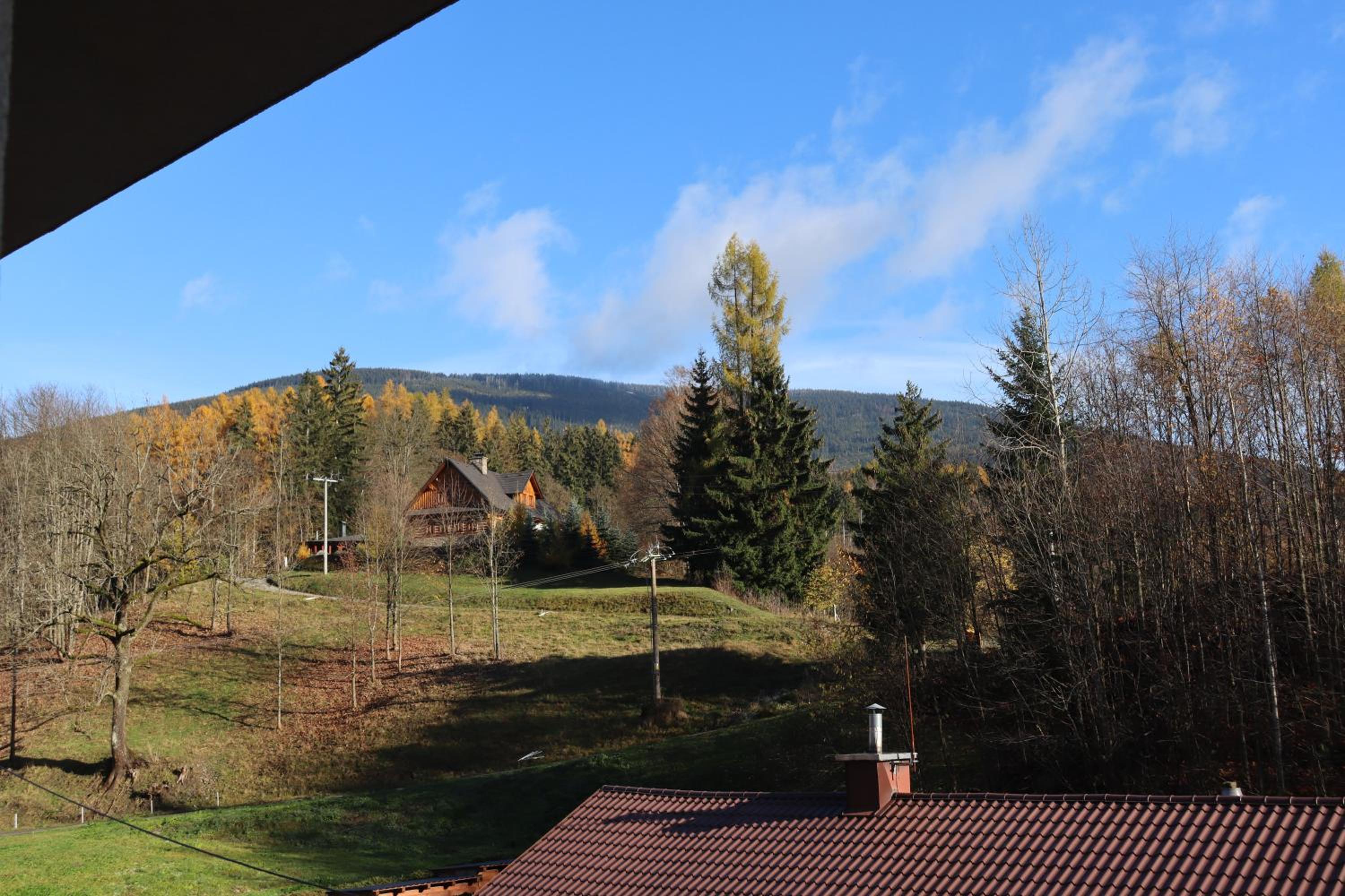 Apartmán D8 - Woody