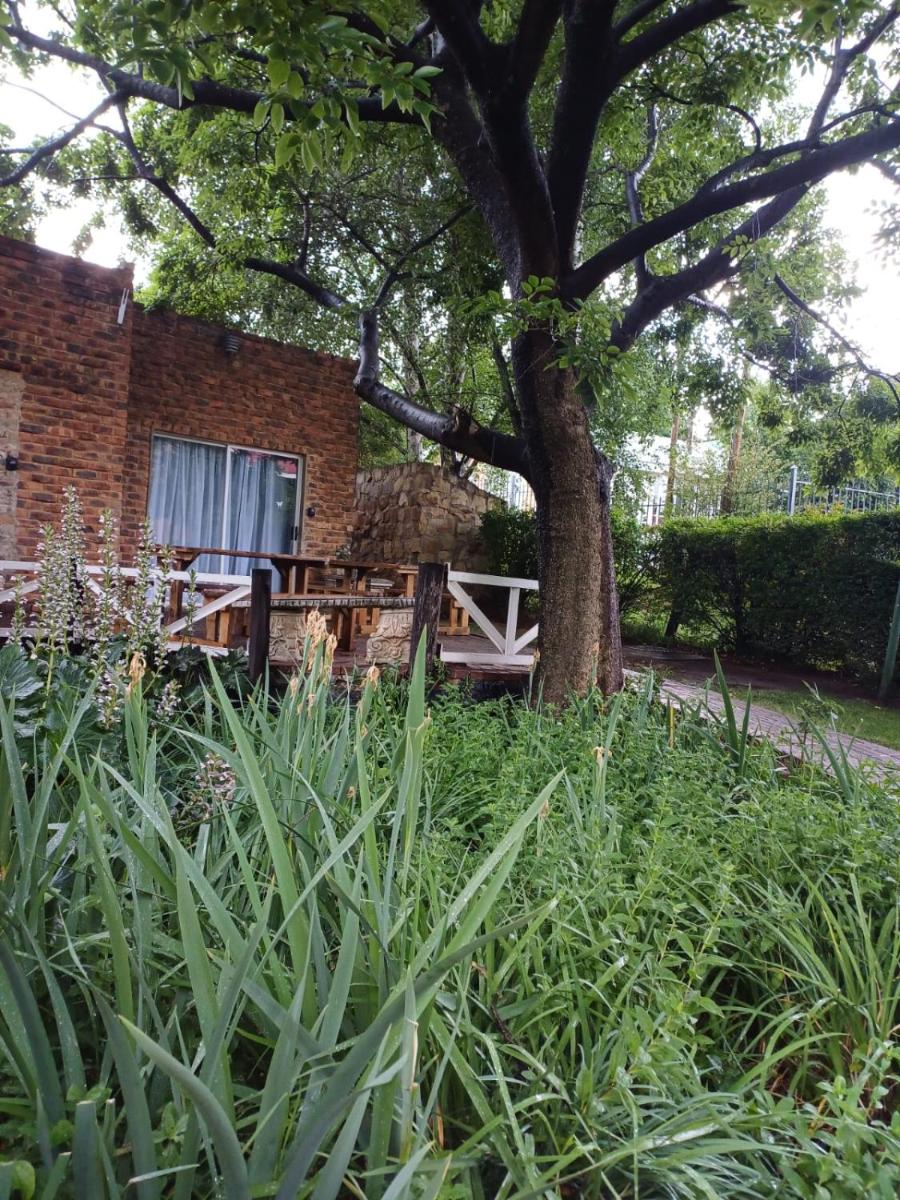 Photo 21