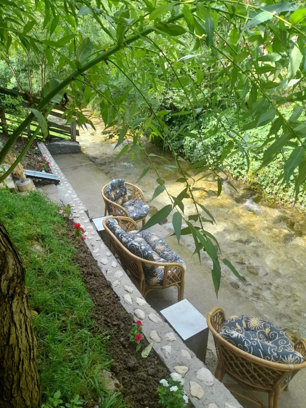 Căsuța Piatra Craiului view 2
