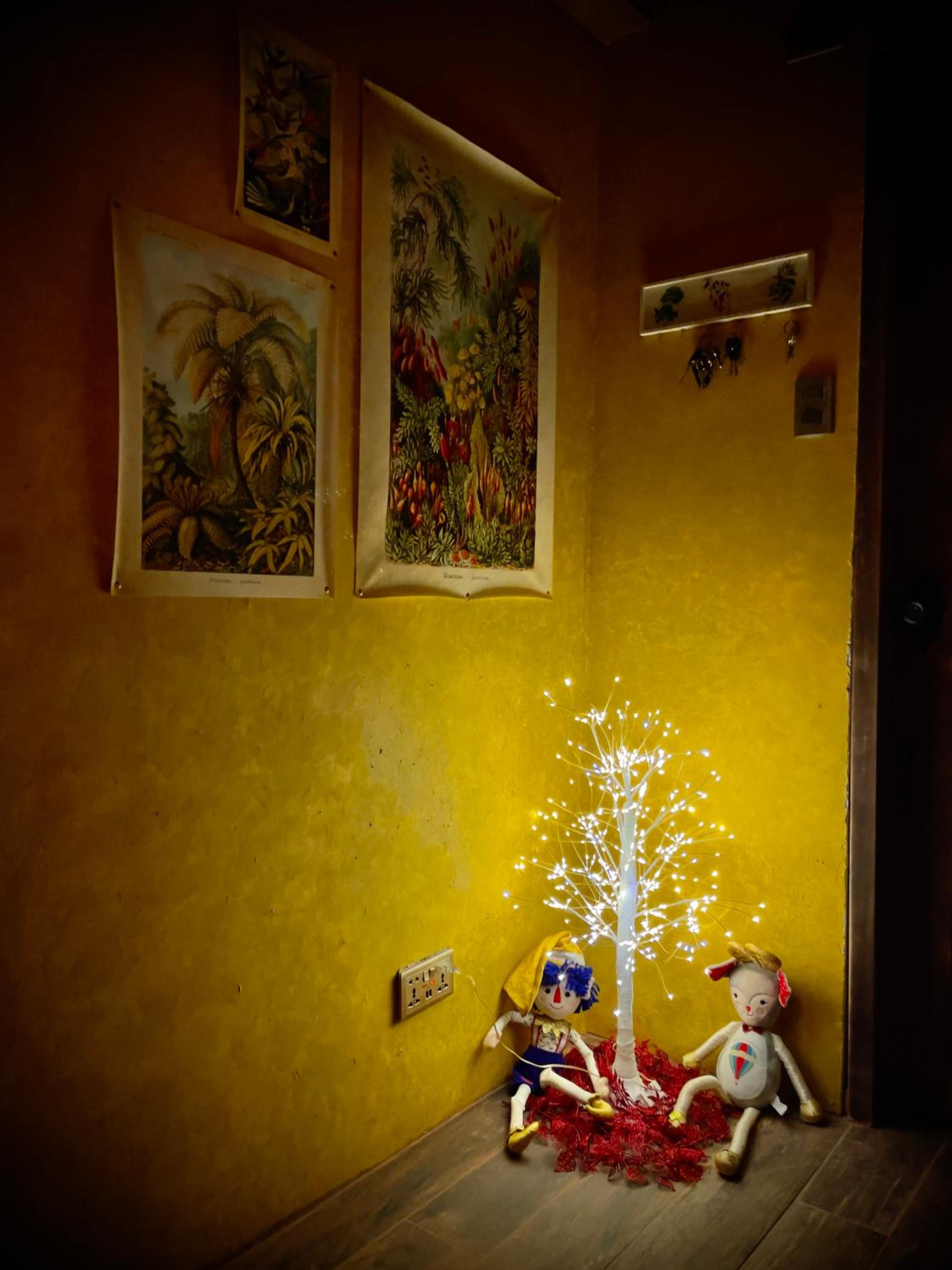 Homestay- Christmas Retreat in Patagonia Chiloe Island, dinner & breakfast included Duhatao - Pumillahue