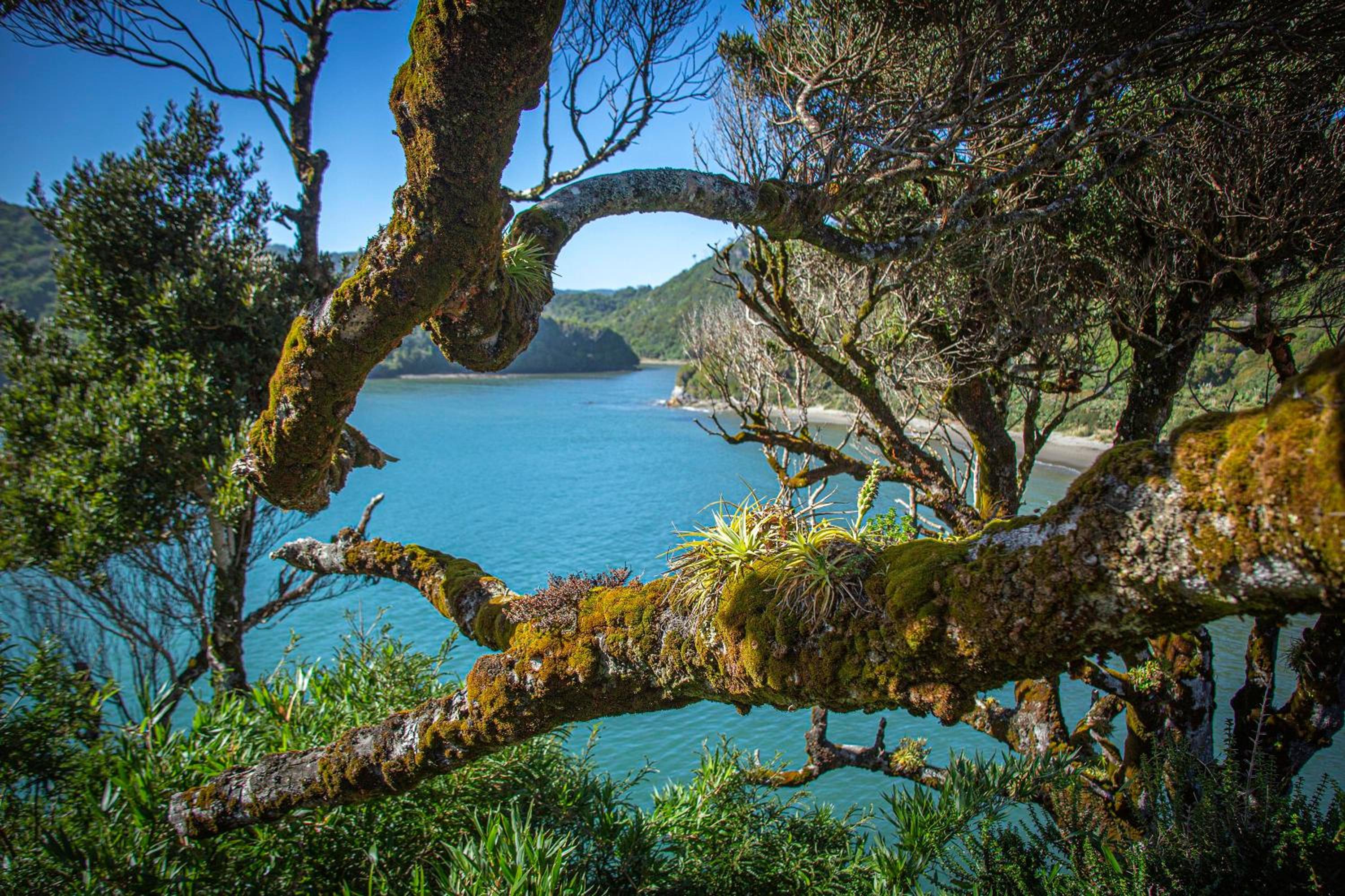 Homestay- Christmas Retreat in Patagonia Chiloe Island, dinner & breakfast included Duhatao - Pumillahue