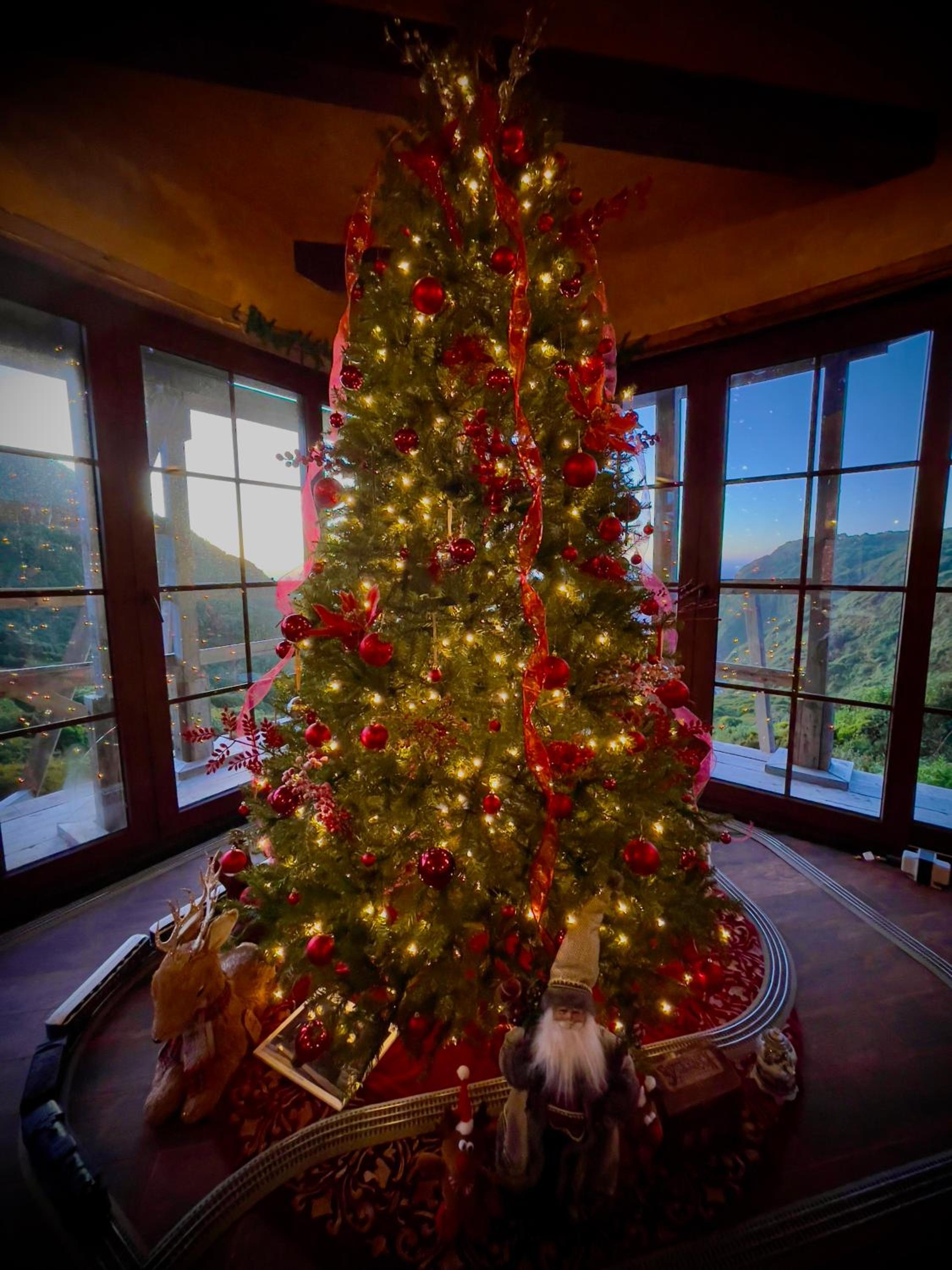Homestay- Christmas Retreat in Patagonia Chiloe Island, dinner & breakfast included Duhatao - Pumillahue