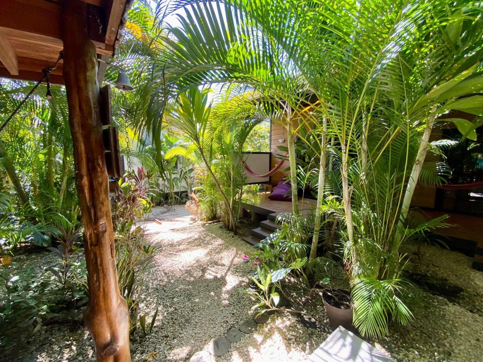 Santeria Lodge