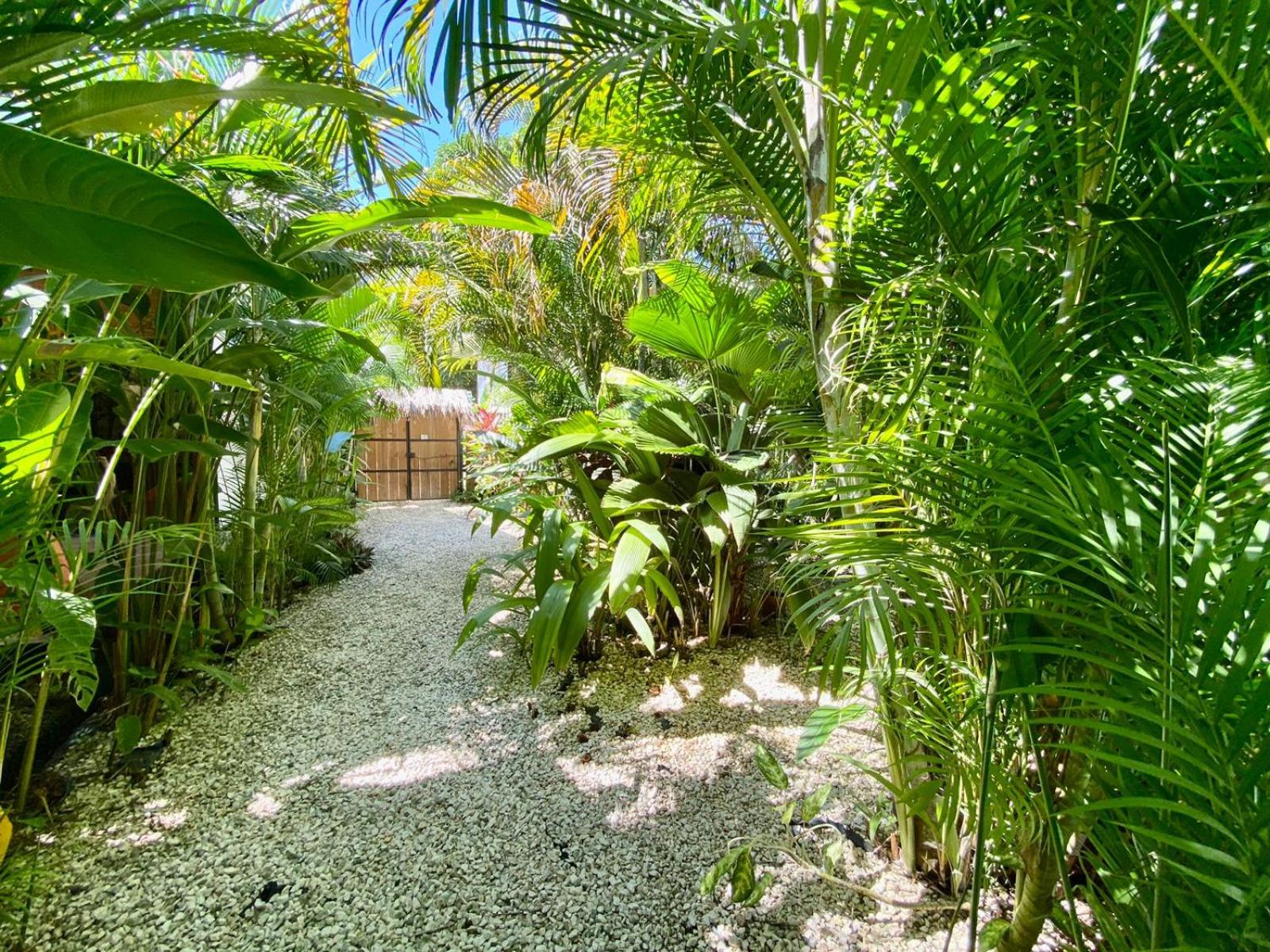 Santeria Lodge