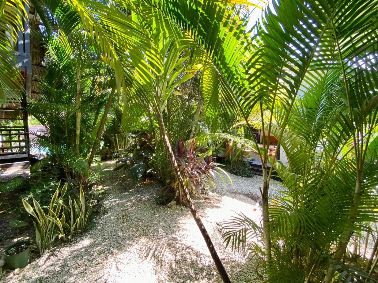 Santeria Lodge