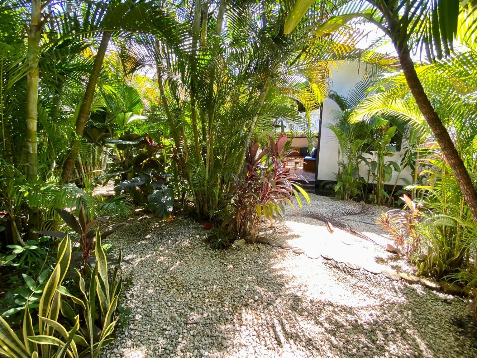 Santeria Lodge