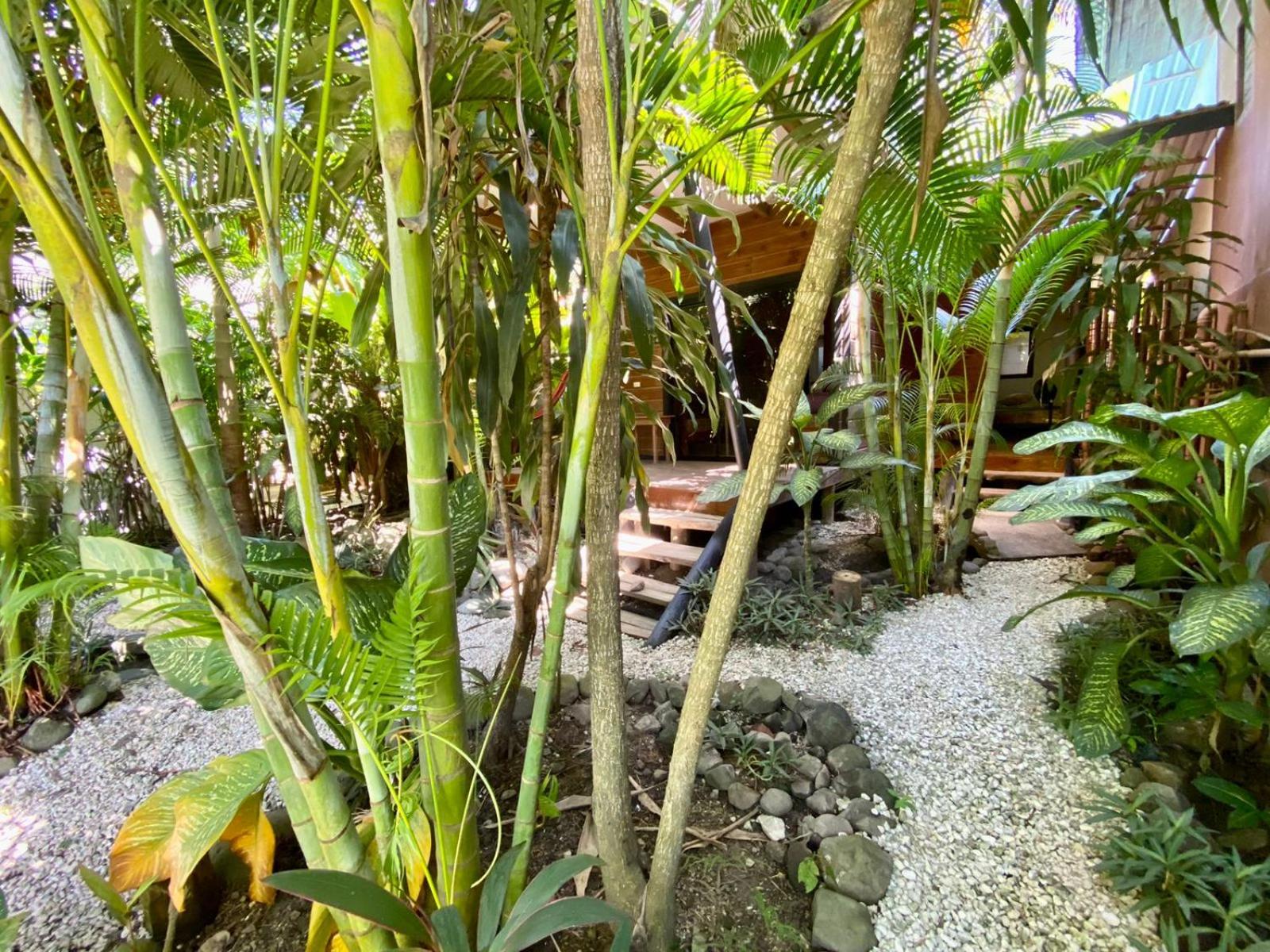 Santeria Lodge
