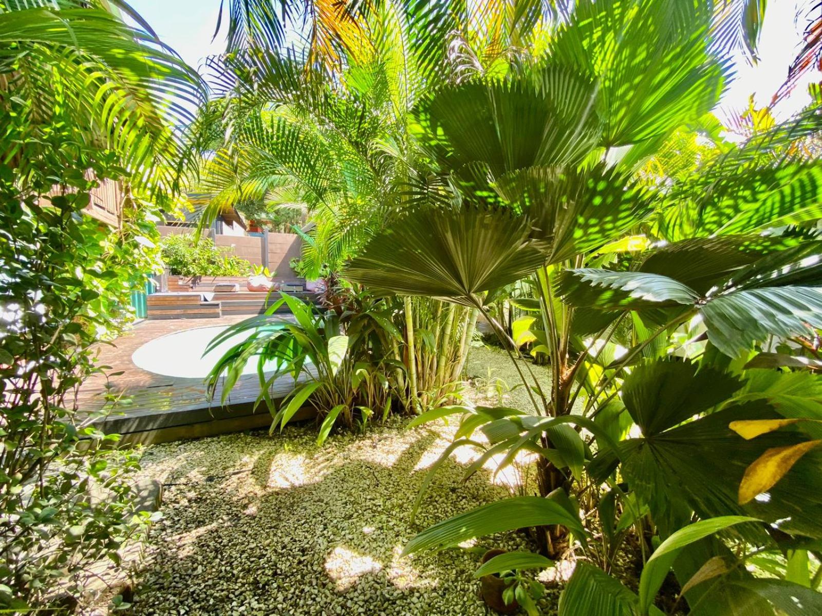 Santeria Lodge