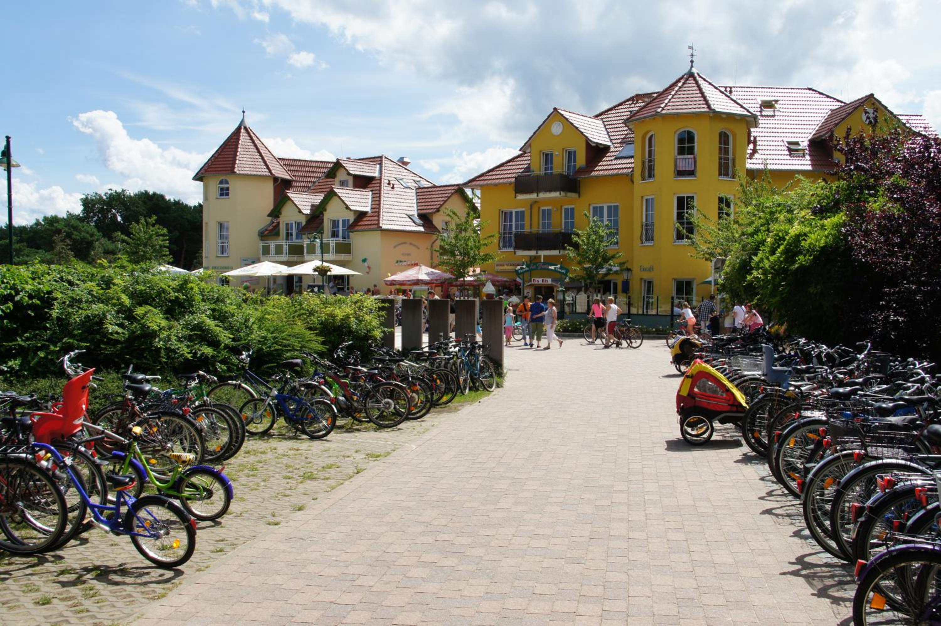 Photo 45