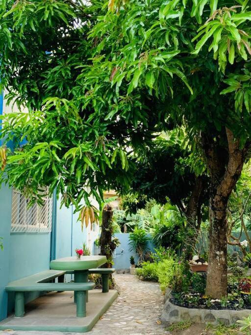 MAGAYON BLUE HOUSE IN THE HEART OF LEGAZPI view 4
