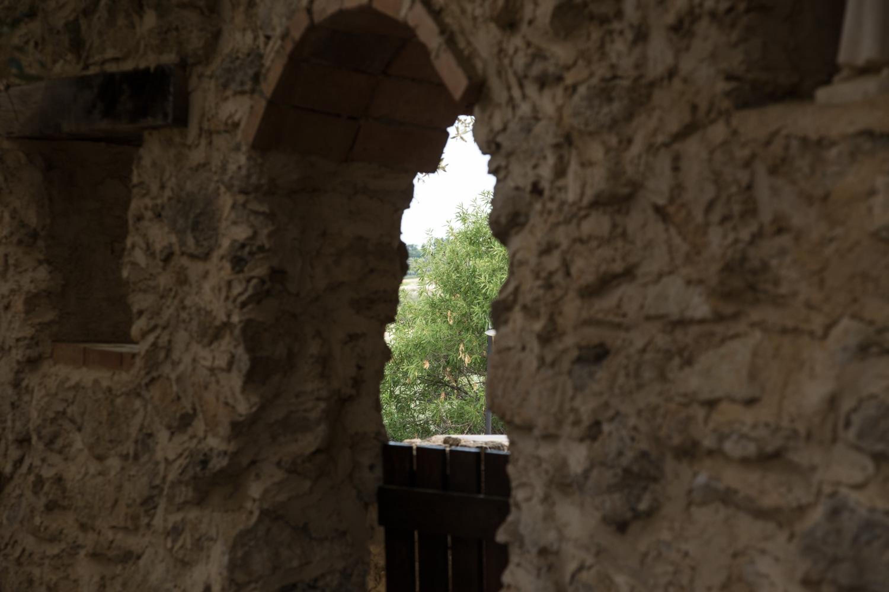 Roba Degli Ulivi, fotografia 4