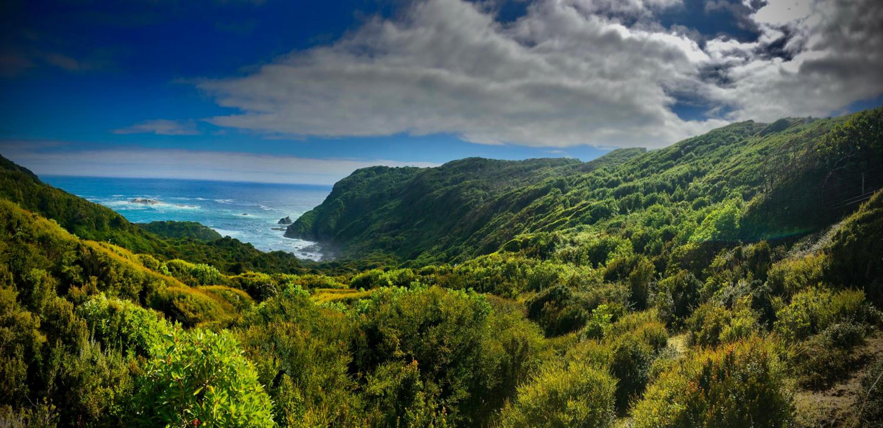 Homestay- Christmas Retreat in Patagonia Chiloe Island, dinner & breakfast included Duhatao - Pumillahue