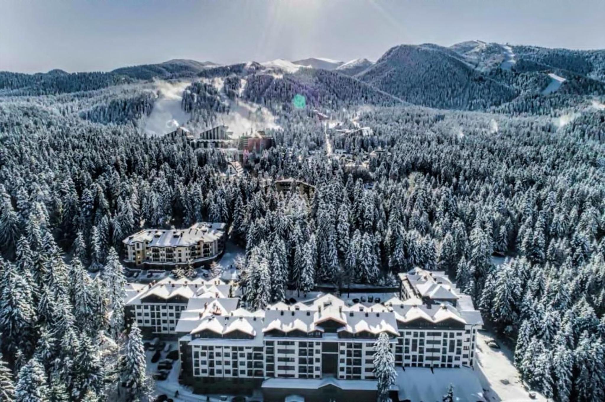 Borovets Dream Studio