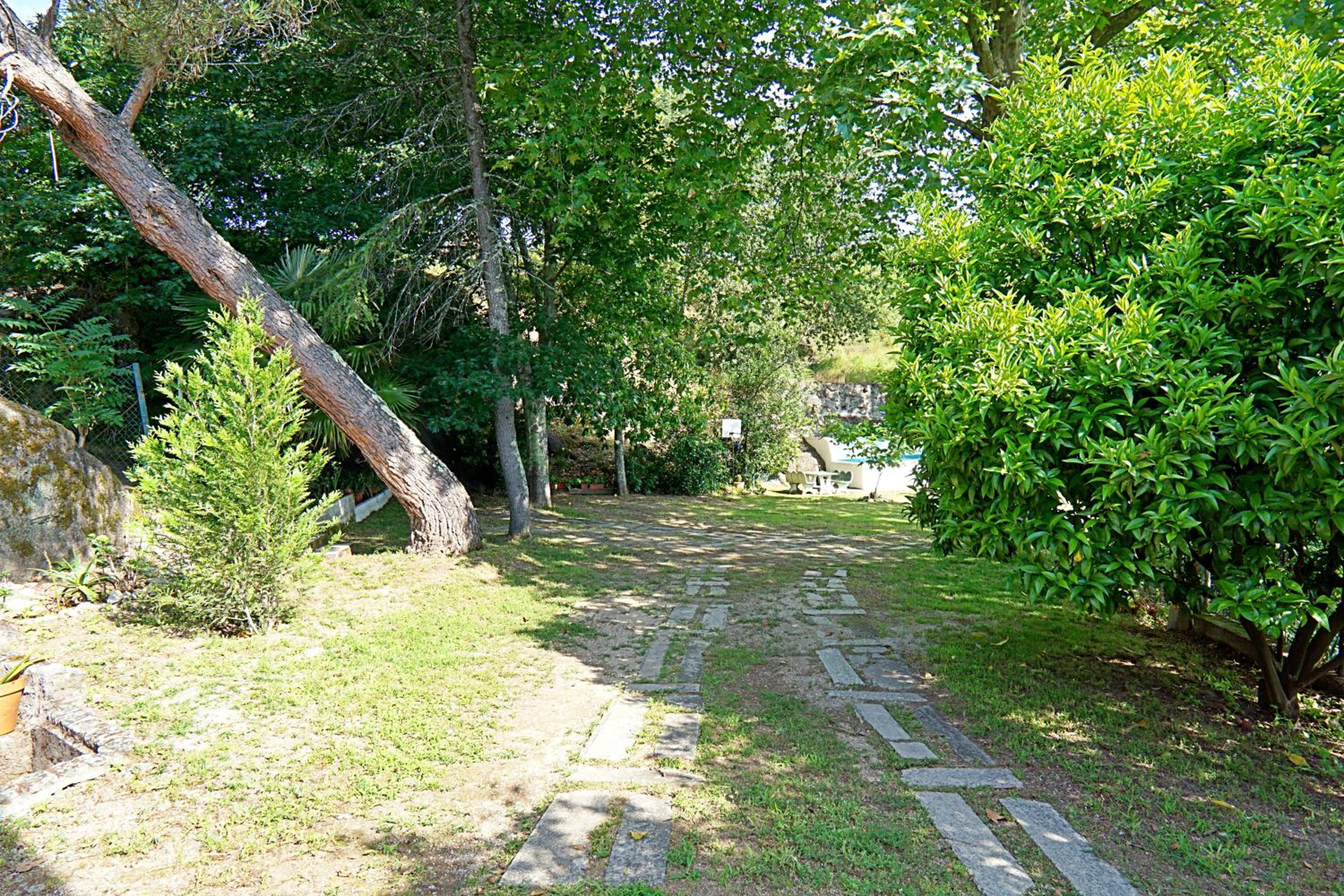 Casa dos Plátanos near the center of Amarante, Golf Course and Water Park. view 4