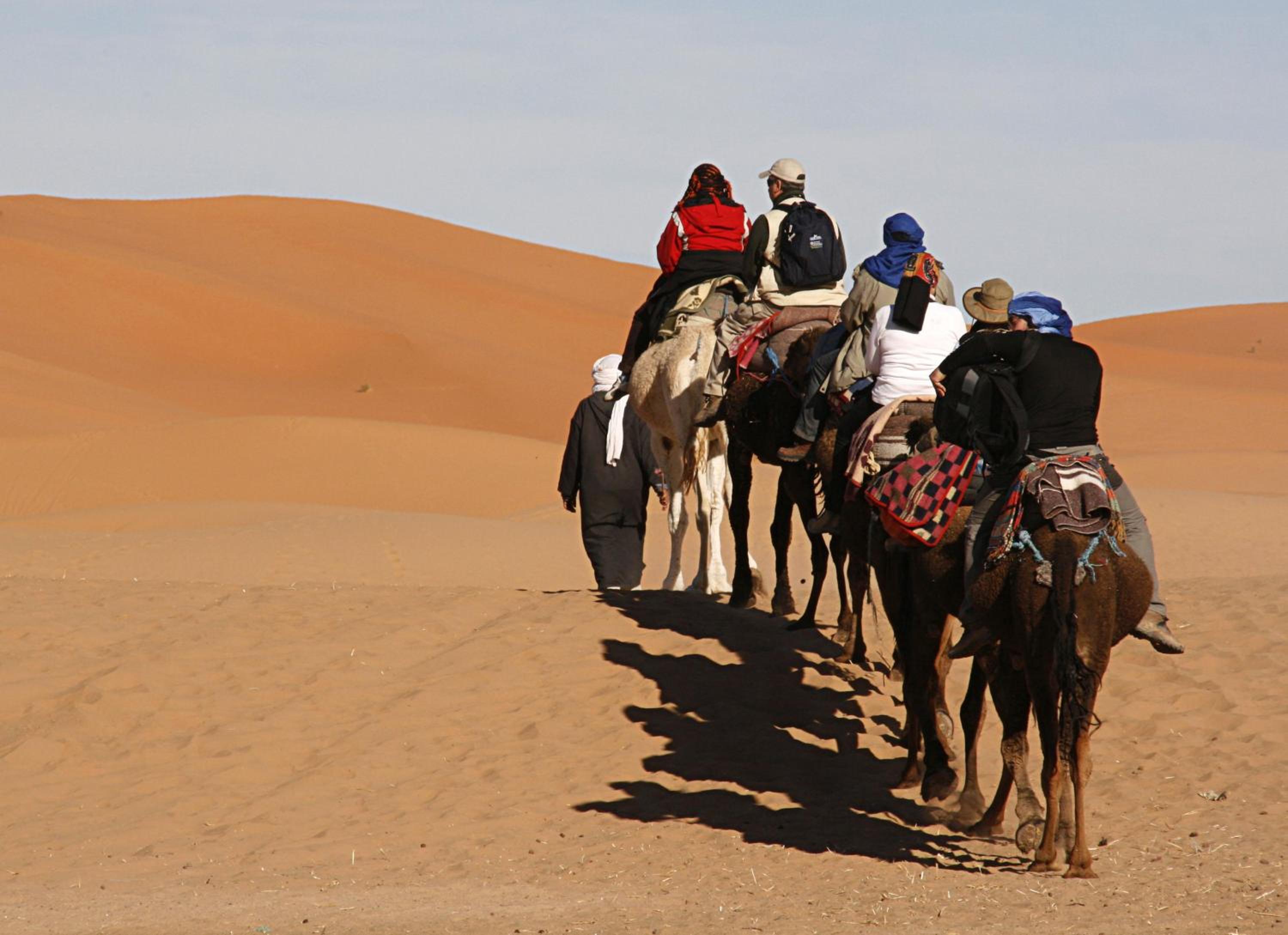 Camel Trek Bivouac - Image 5