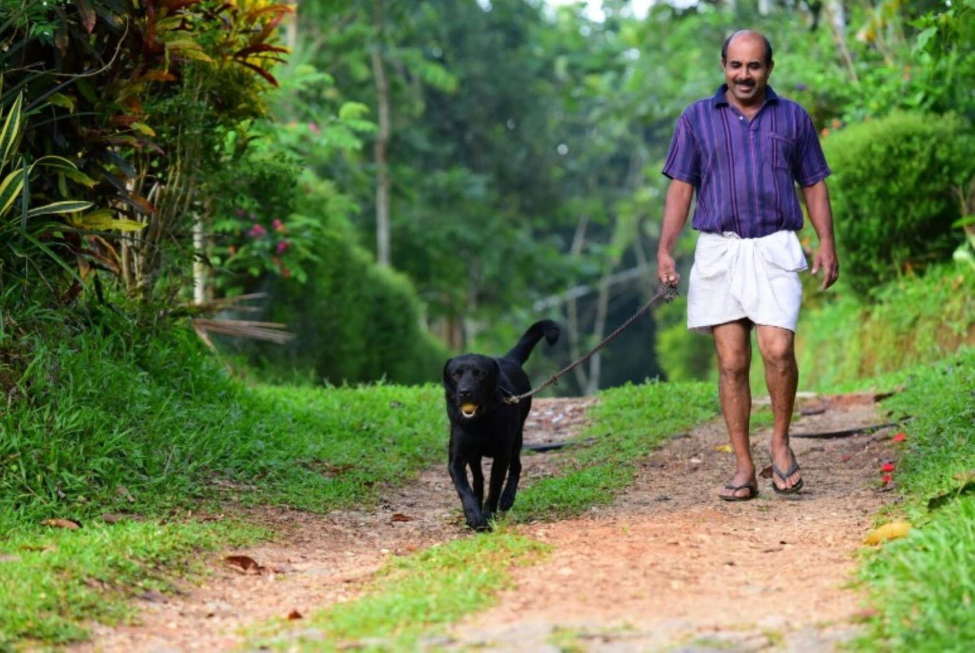 Greens Vista Homestay Wayanad Near Natural Stream and Pool view 3
