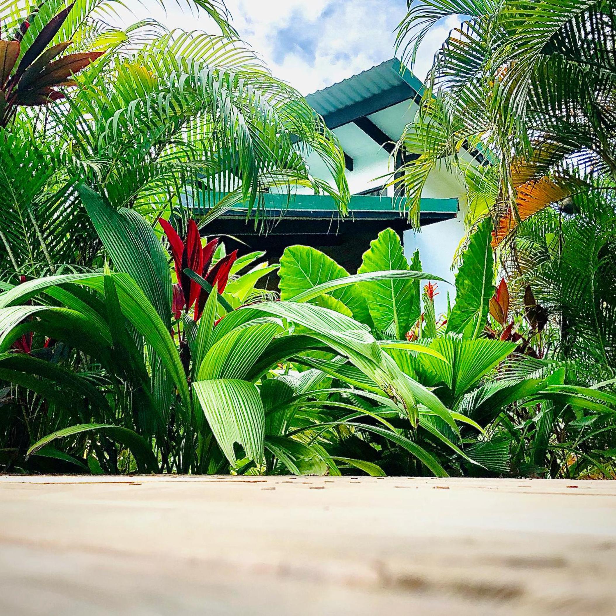 Santeria Lodge
