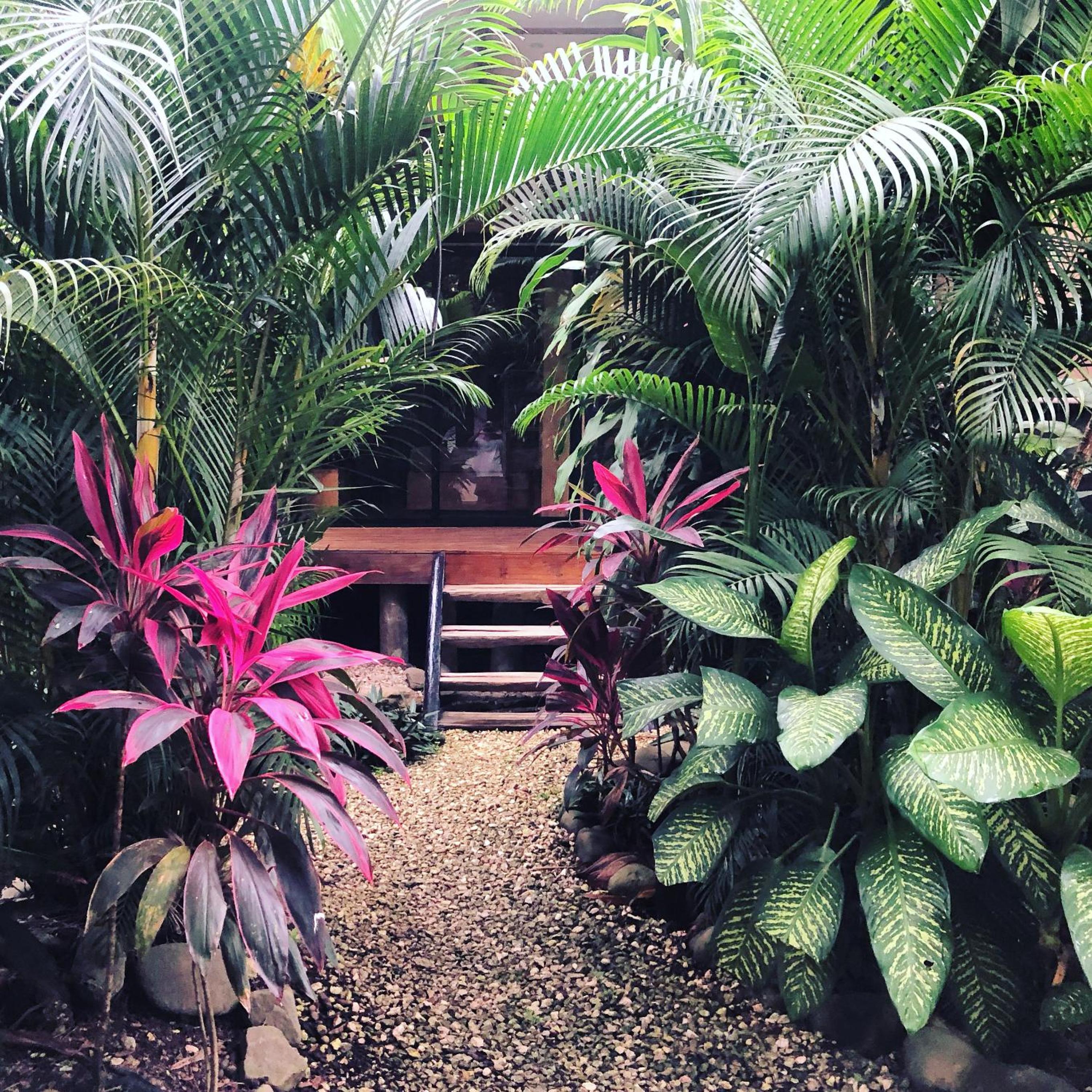 Santeria Lodge