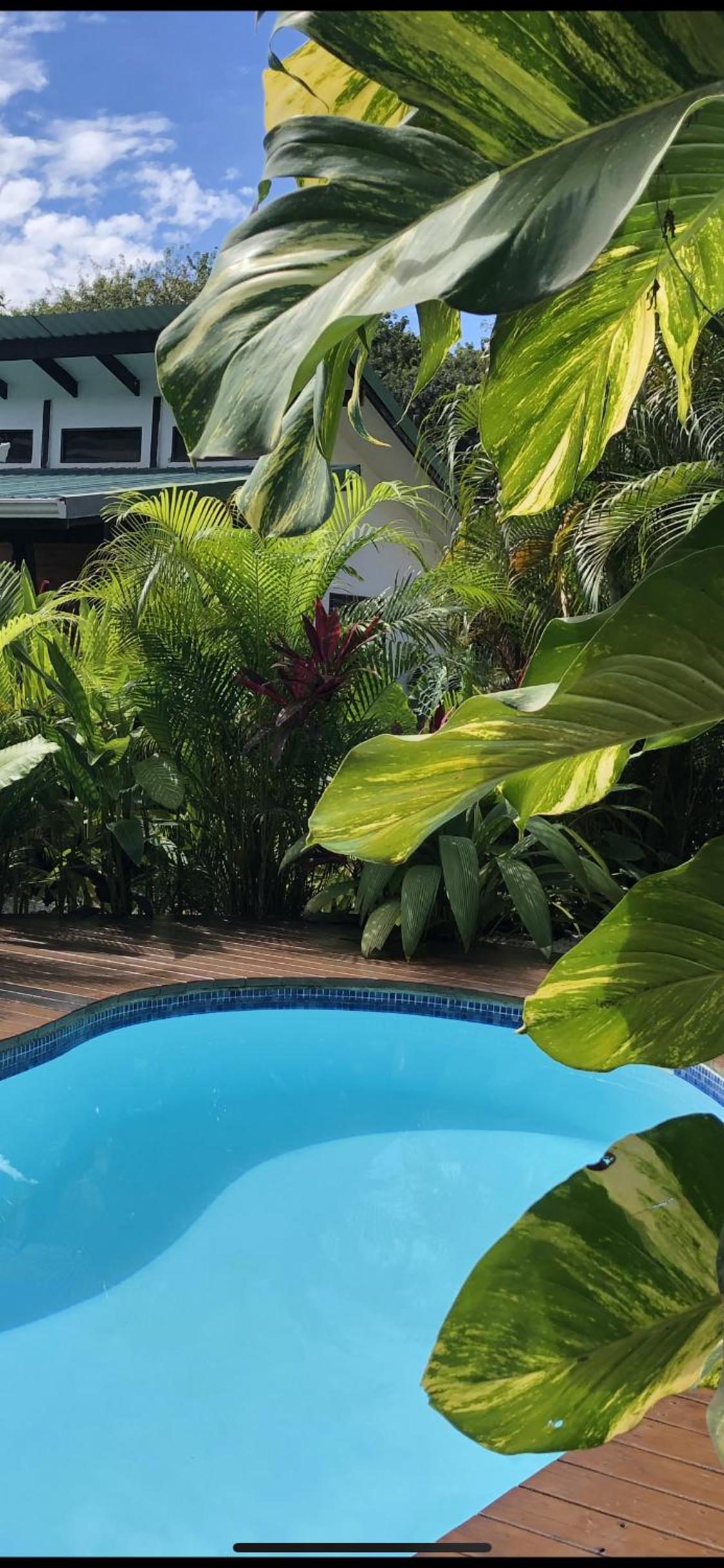 Santeria Lodge