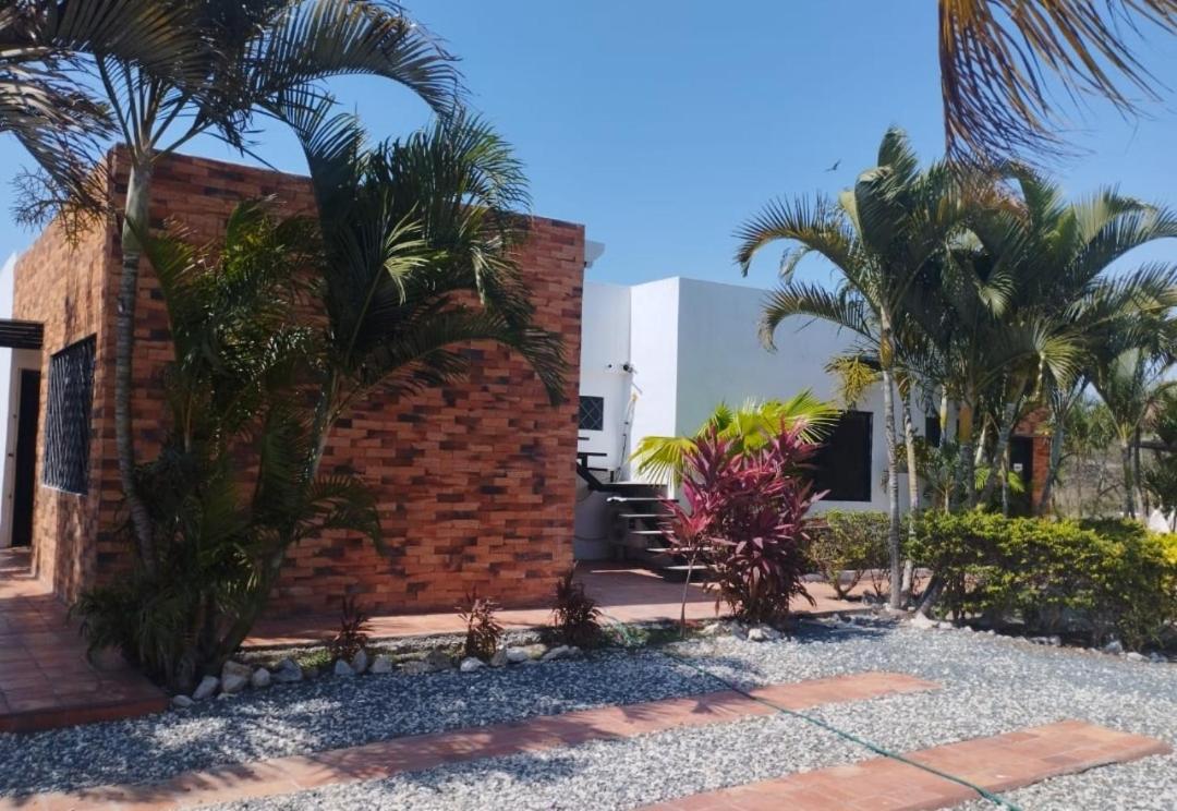 Las palmeras