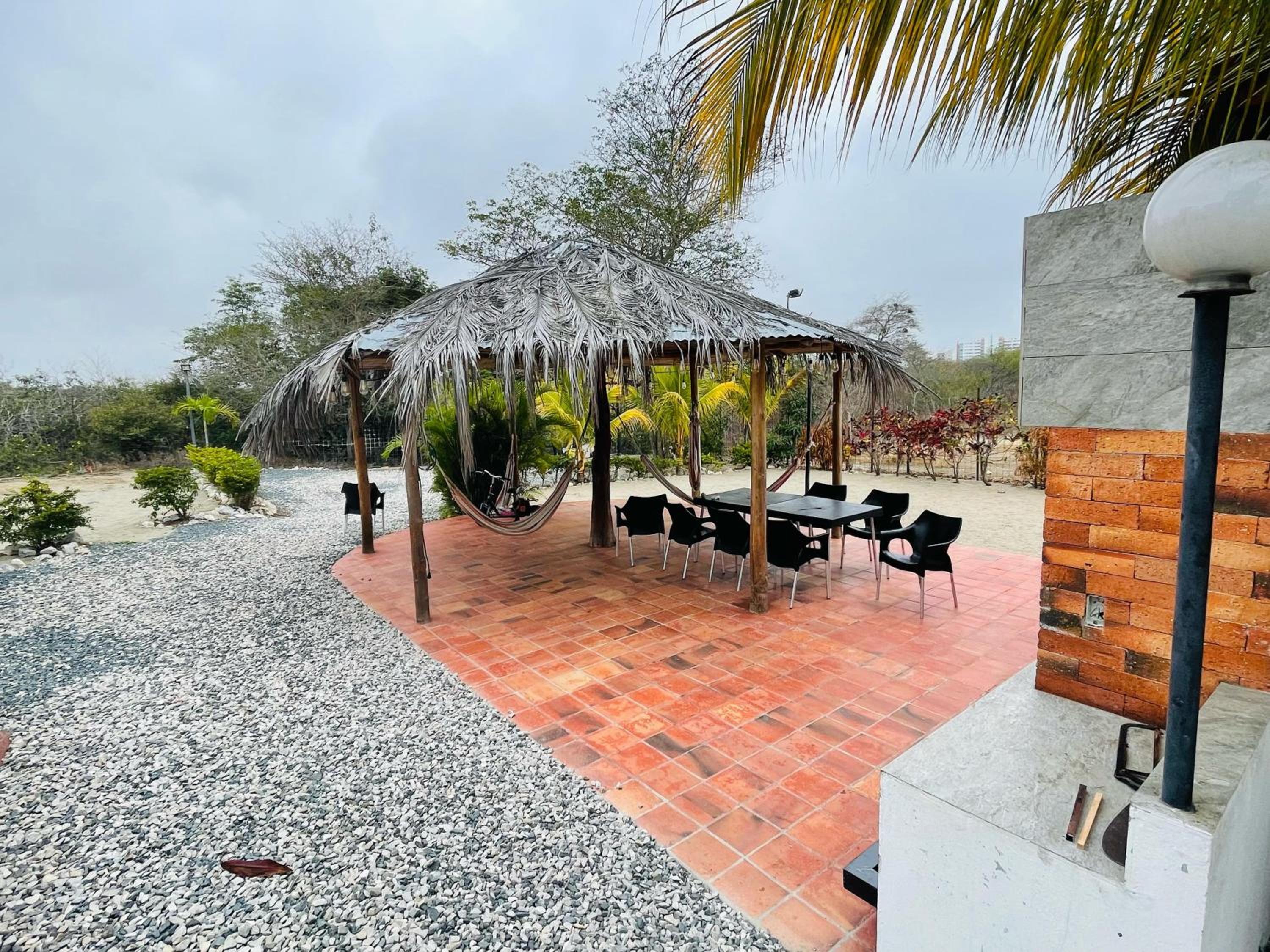 Las palmeras