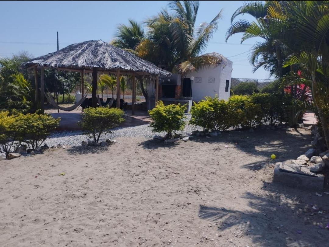 Las palmeras