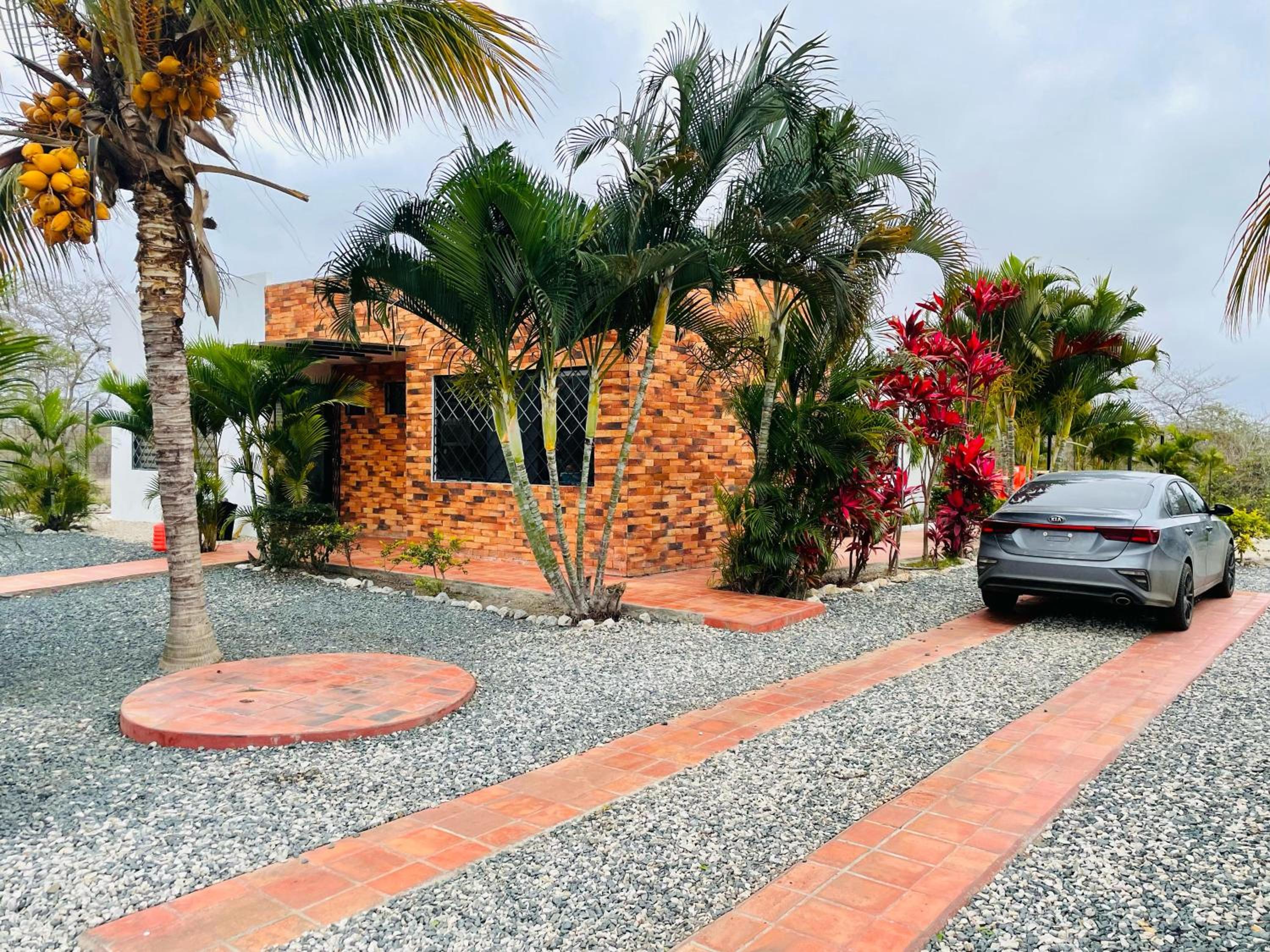 Las palmeras
