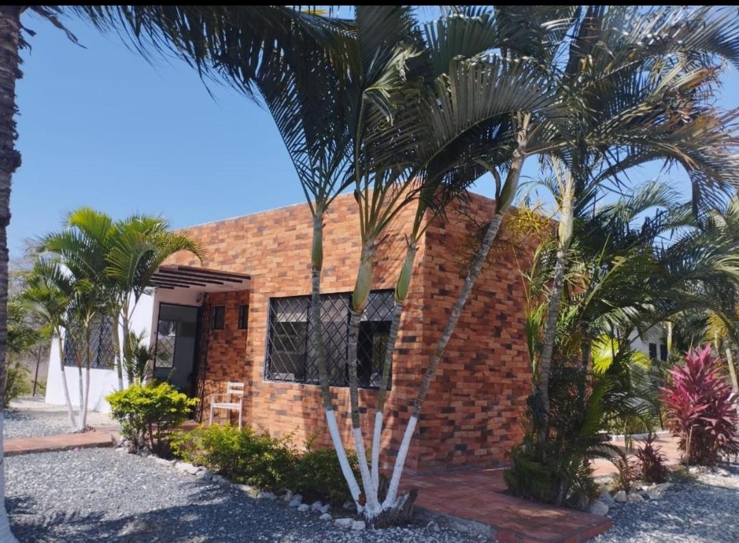 Las palmeras