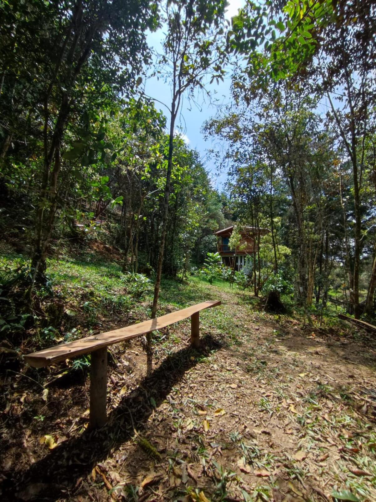 cabaña paniym