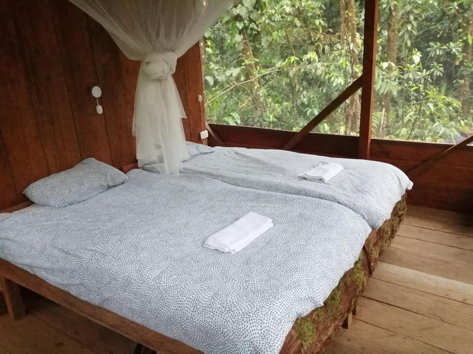 Cabaña Leucopternis - in the middle of Amazon forest