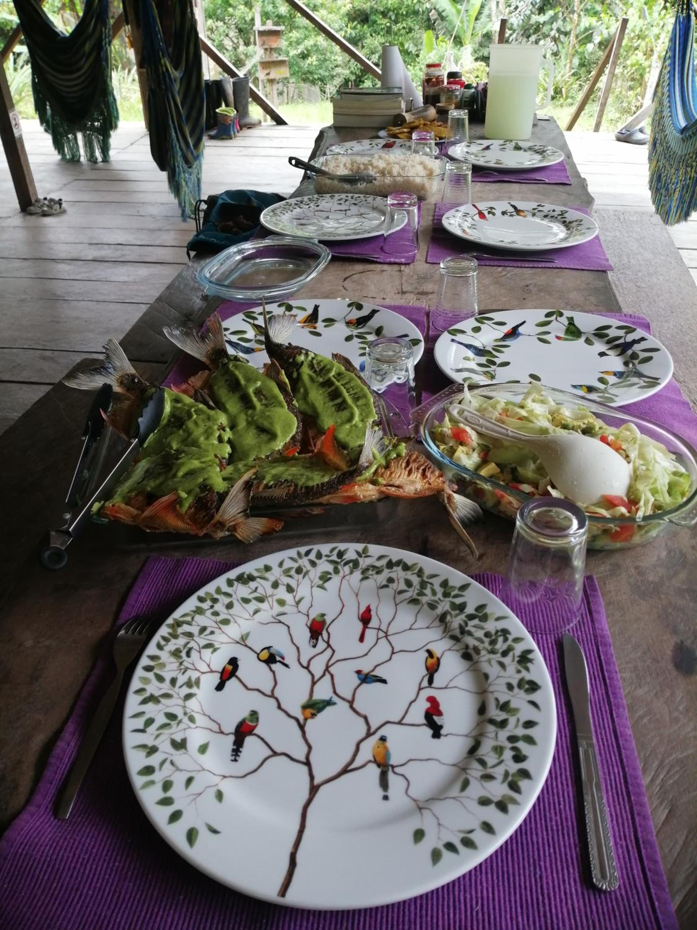Cabaña Leucopternis - in the middle of Amazon forest