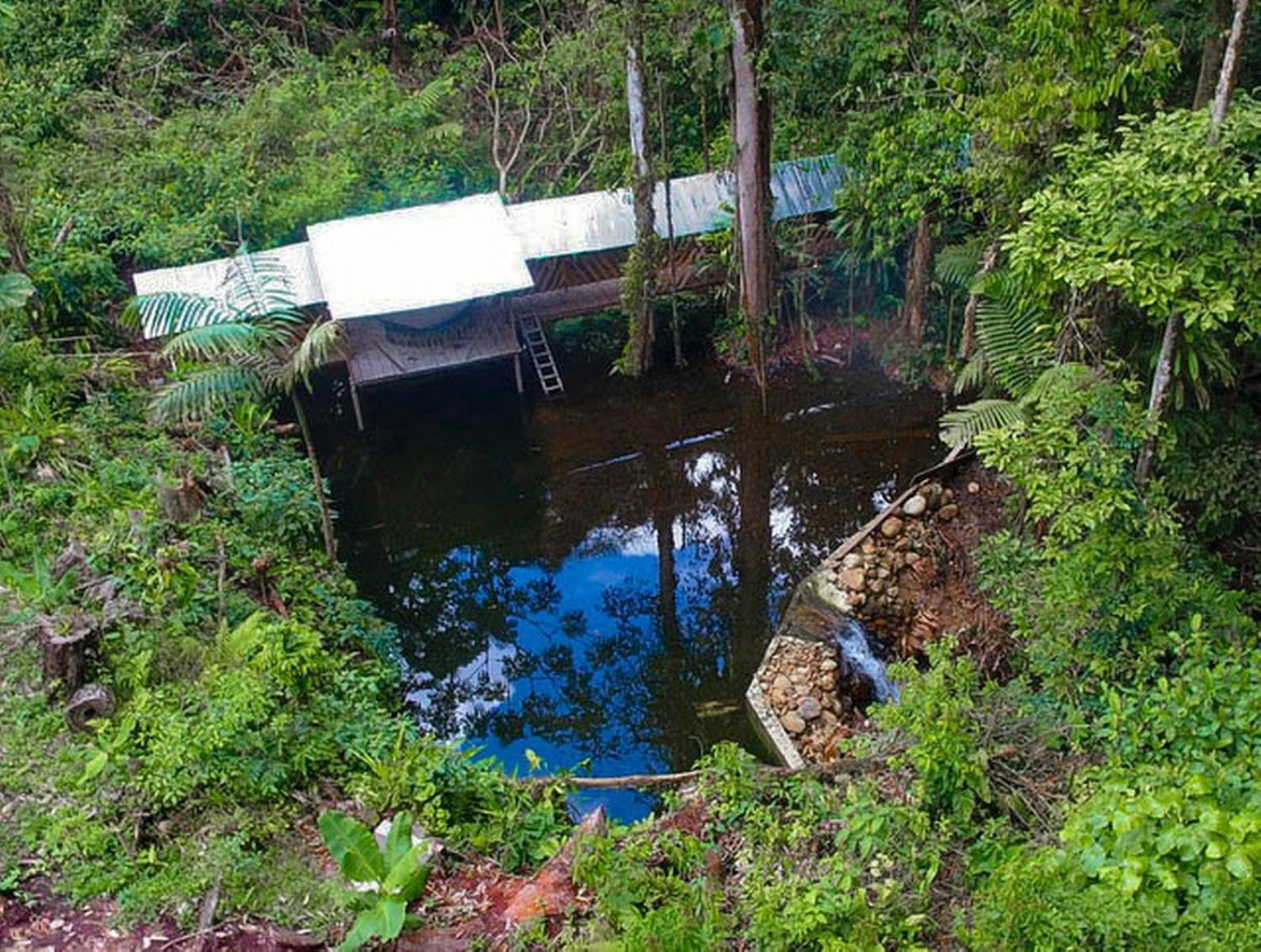Cabaña Leucopternis - in the middle of Amazon forest