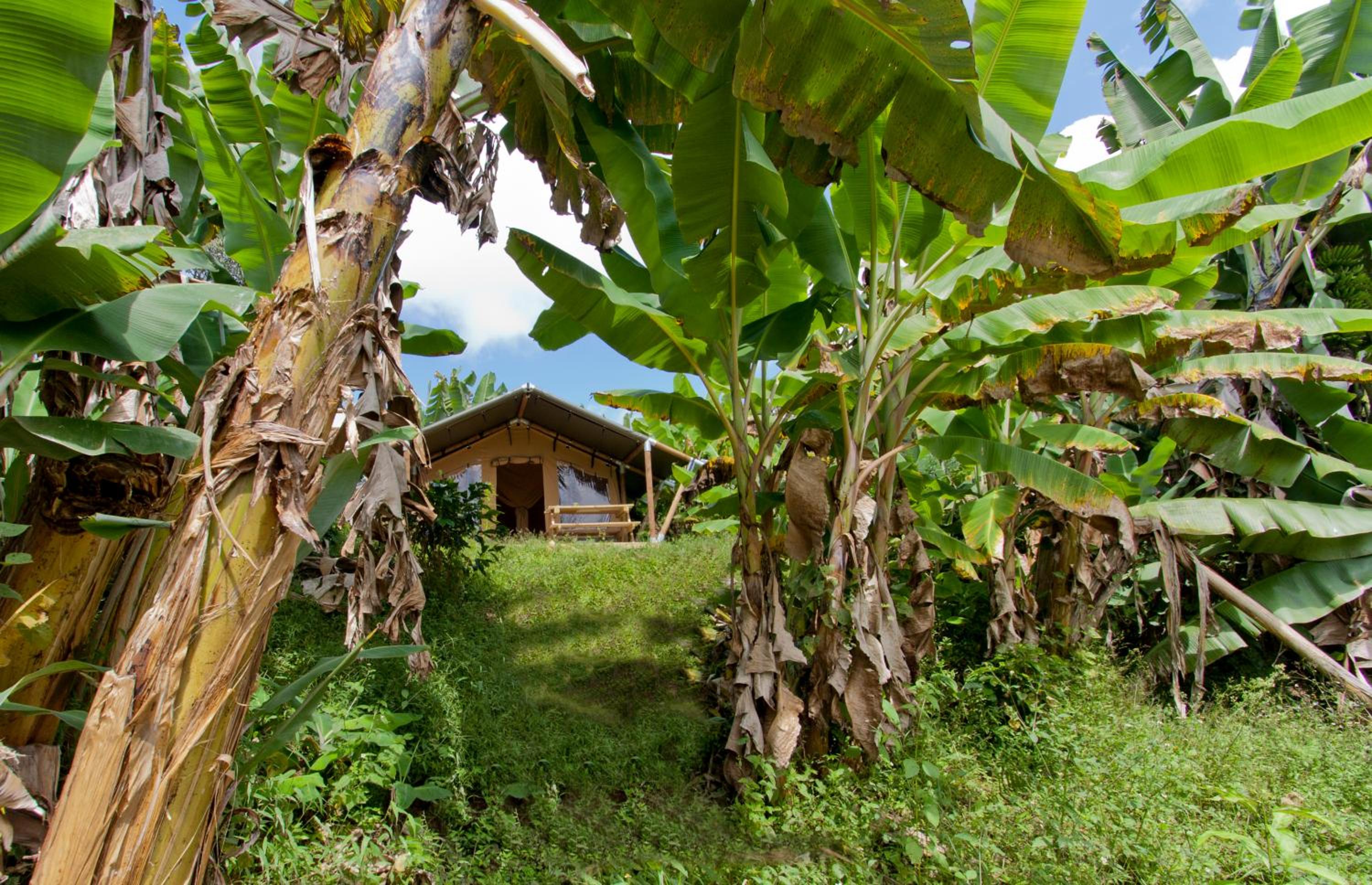 Glamping Jardín