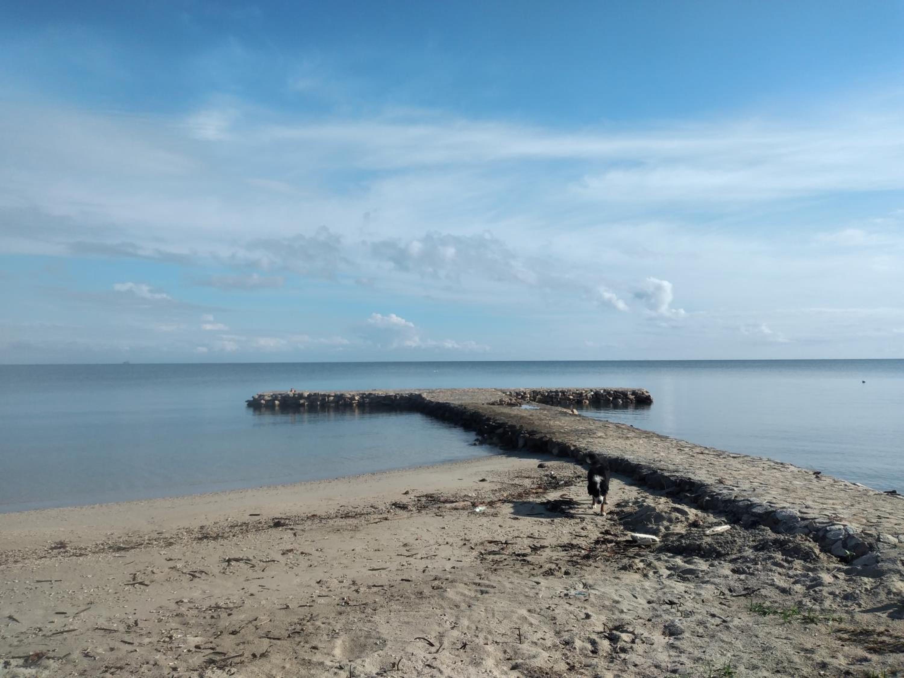 CABAÑA ACUARIO