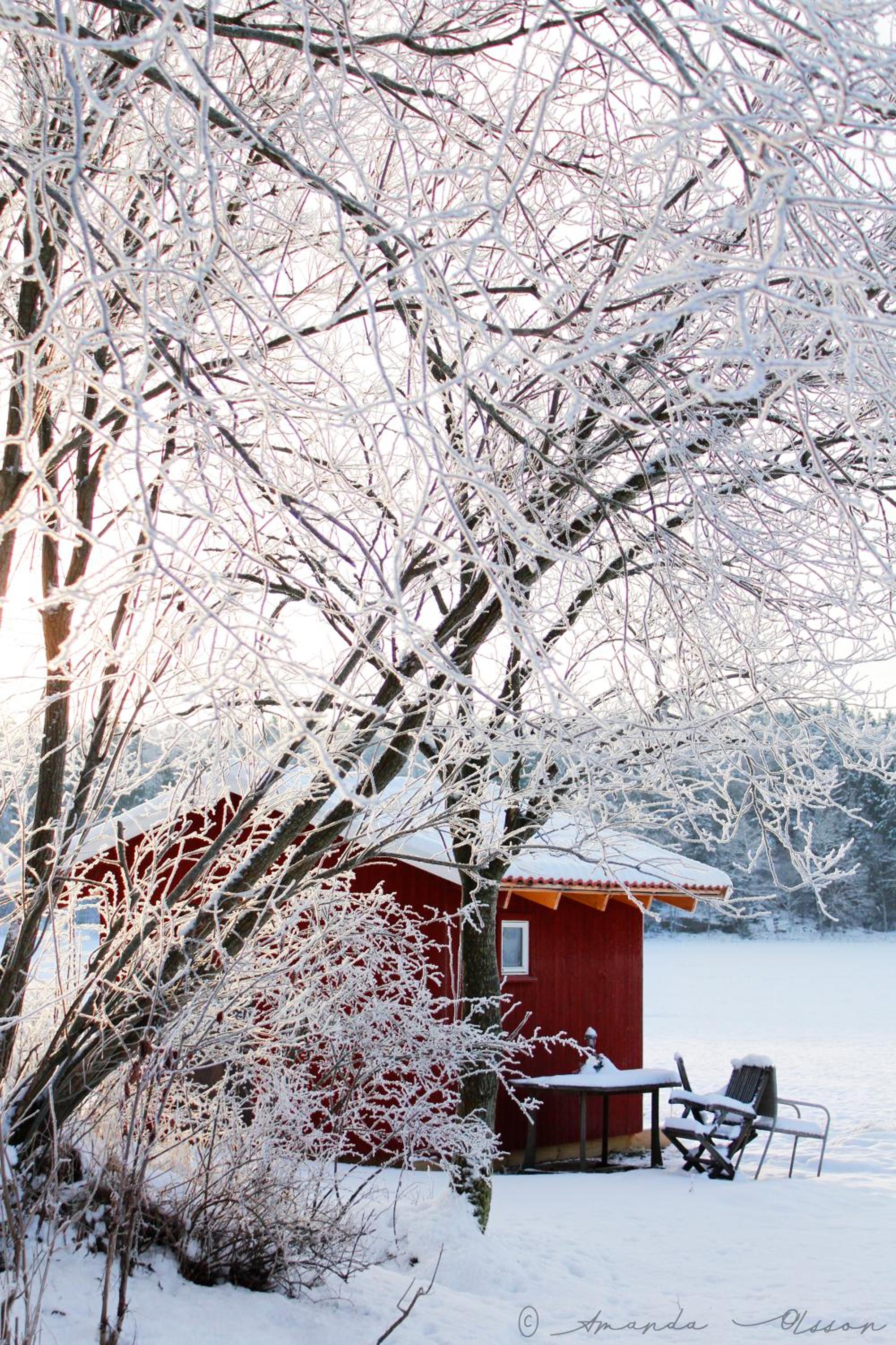 Toric Farmlodge