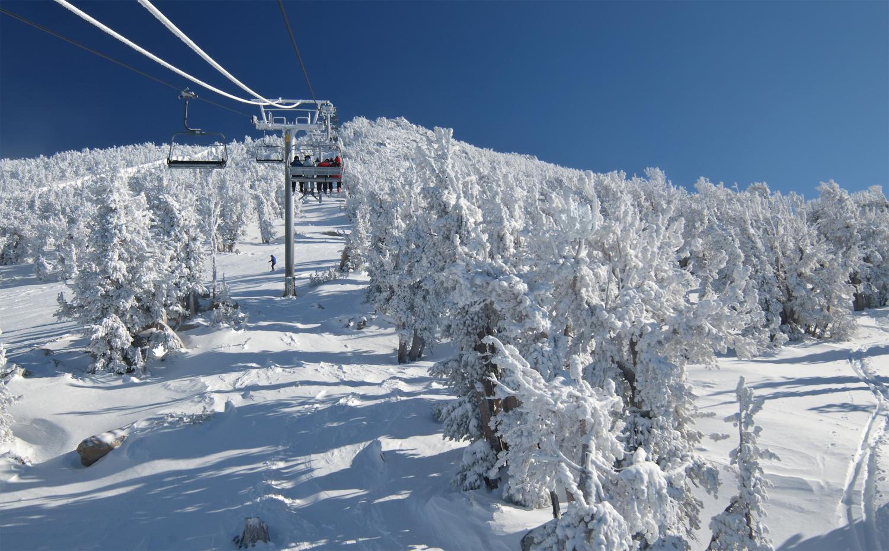 The McCloud Condominium complex is one of the most popular vacation rentals - Property Image 3